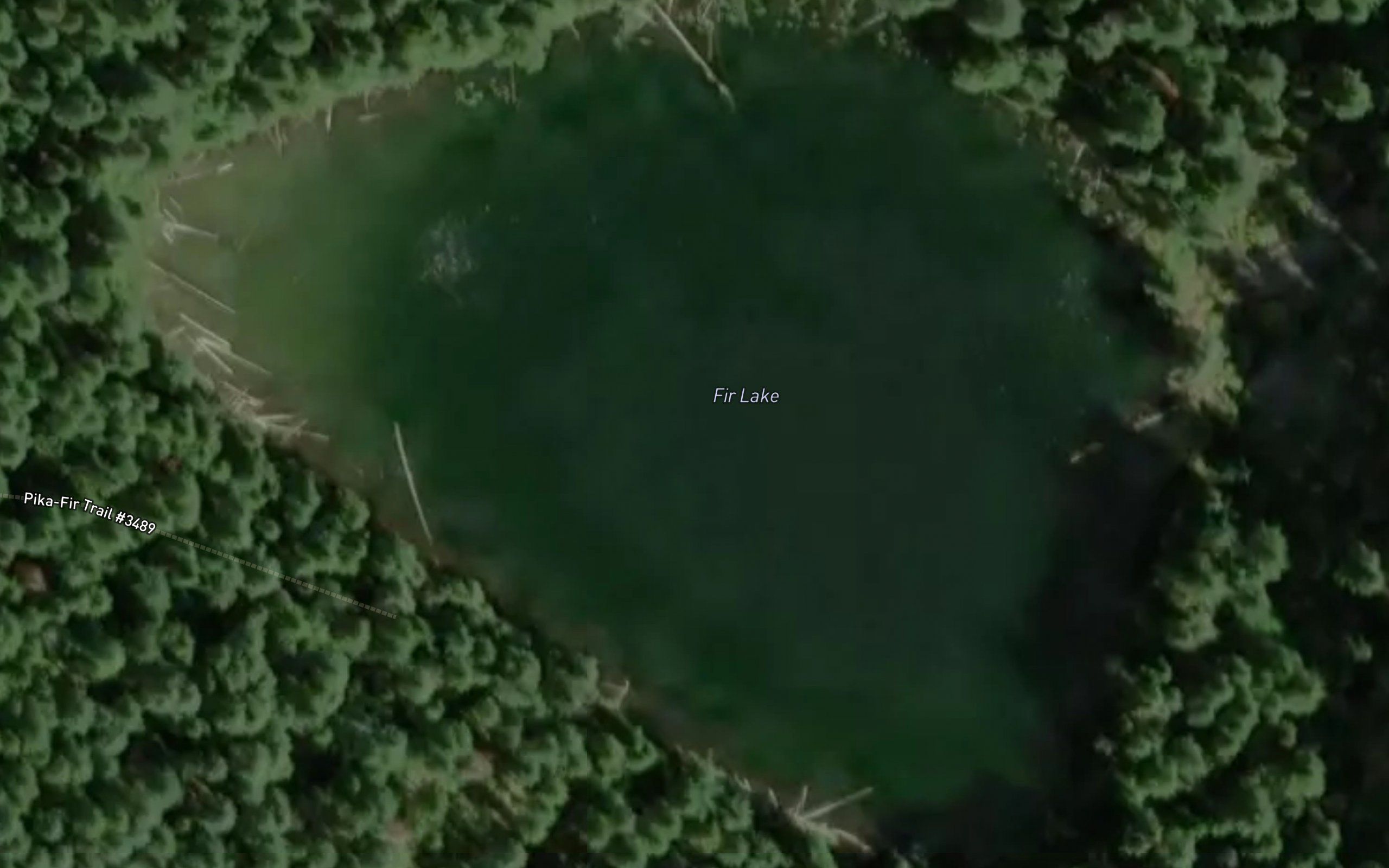 Fir Lake