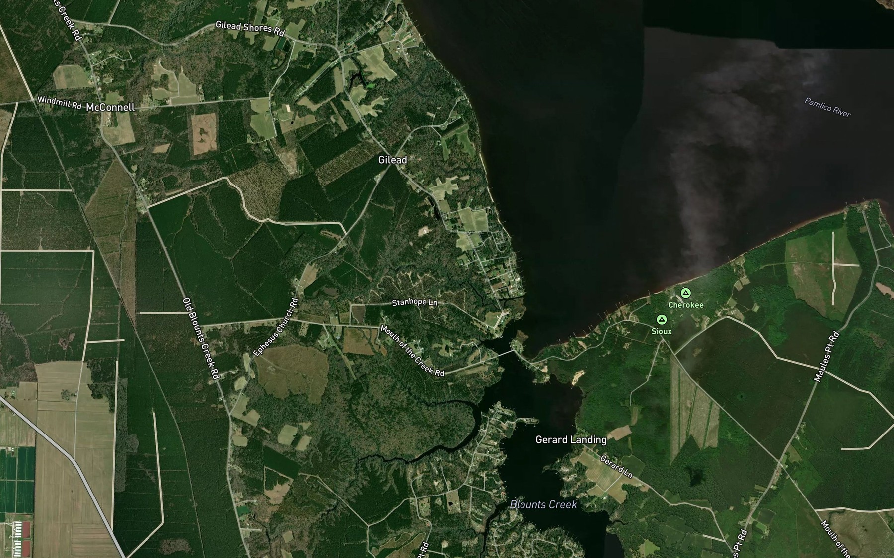 Satellite map of the Martin Gut