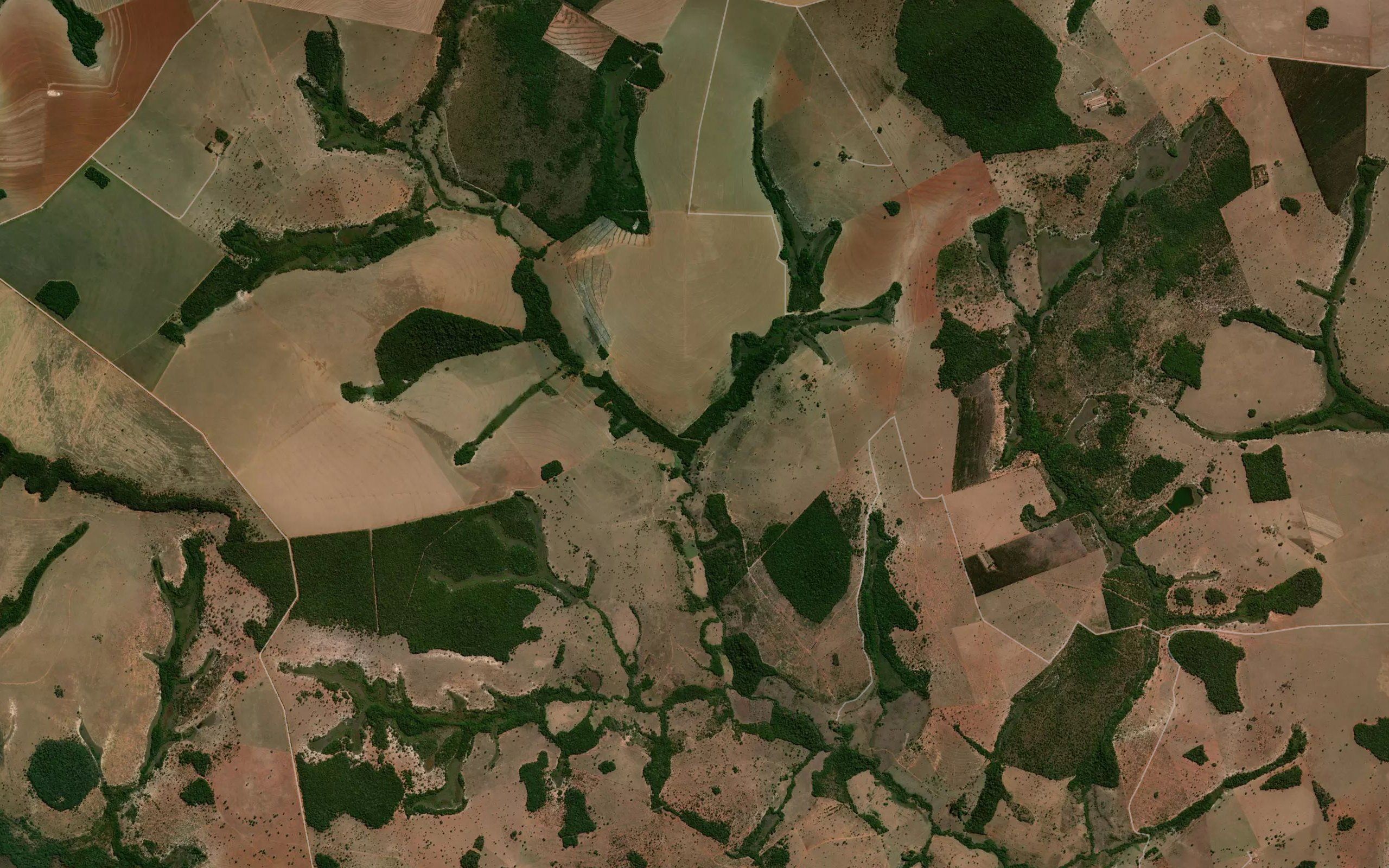 Corrego da Onca