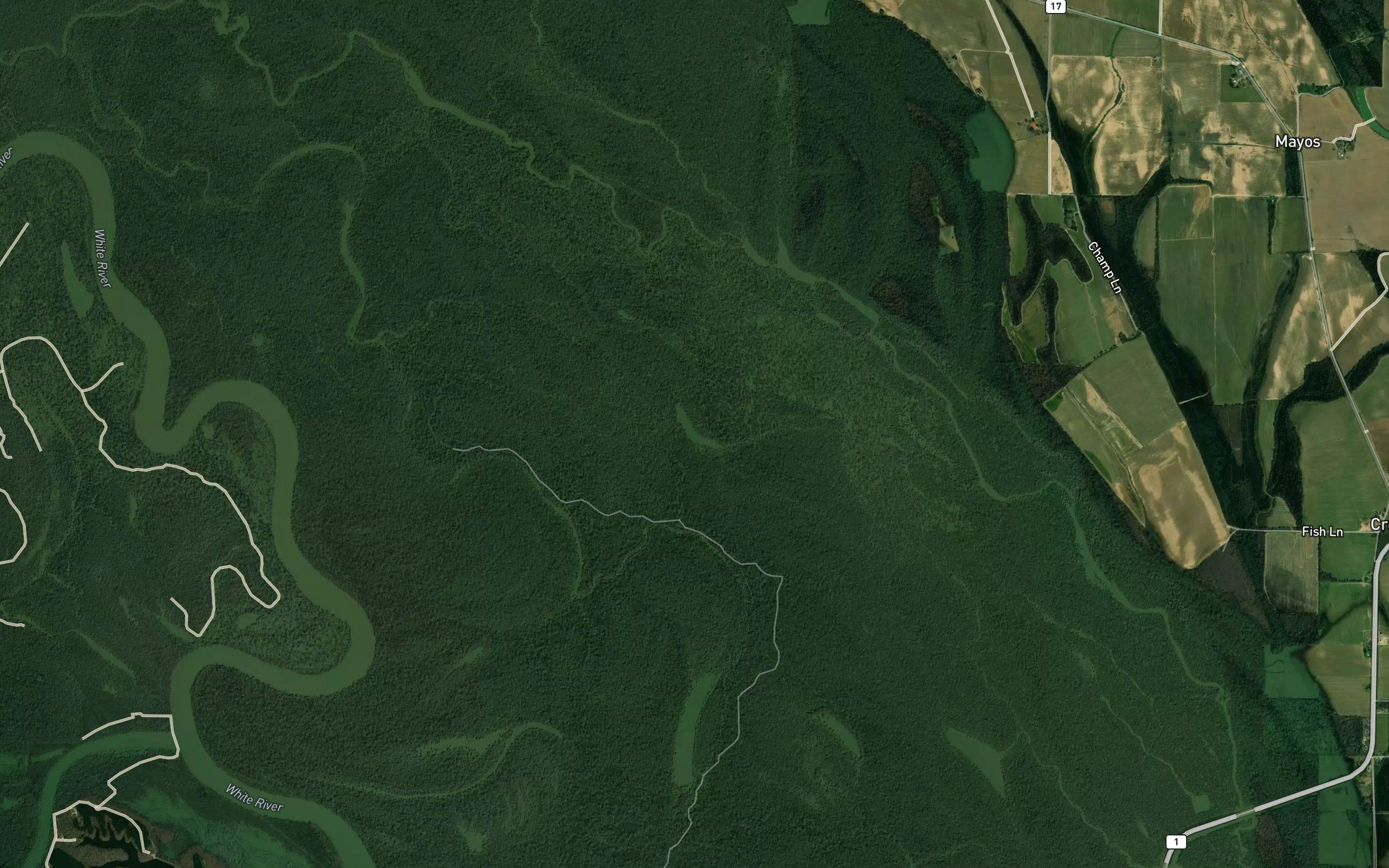 Brushy Lake