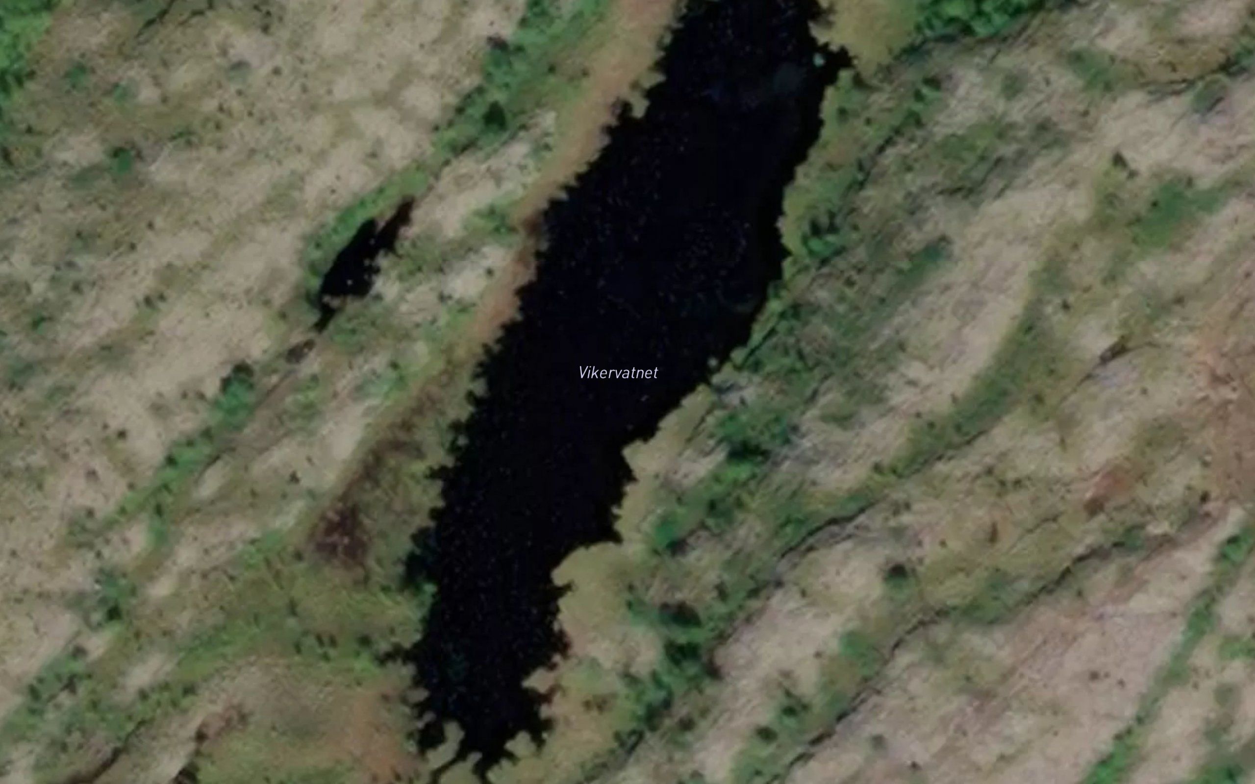 Vikervatnet