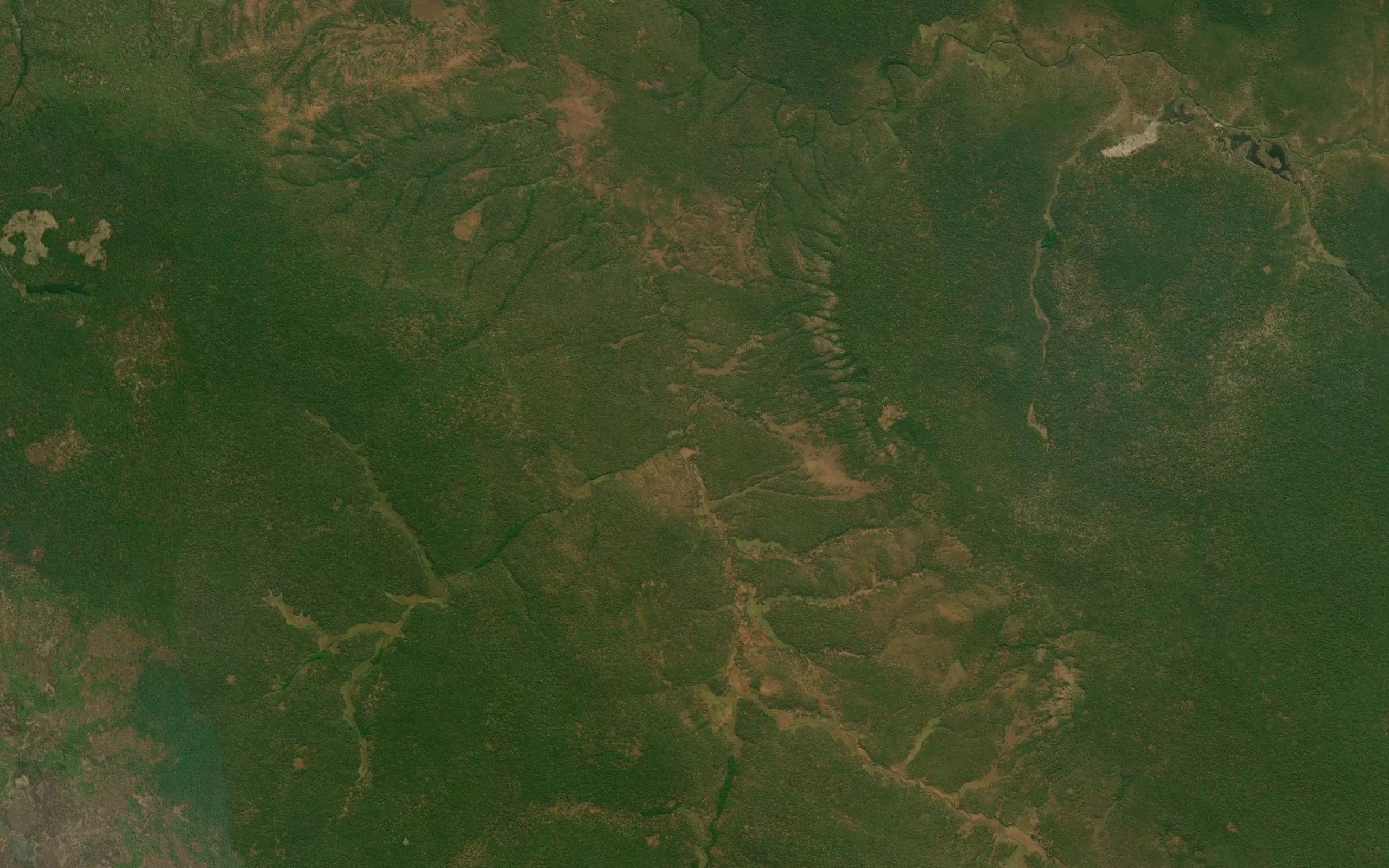 Camaquima