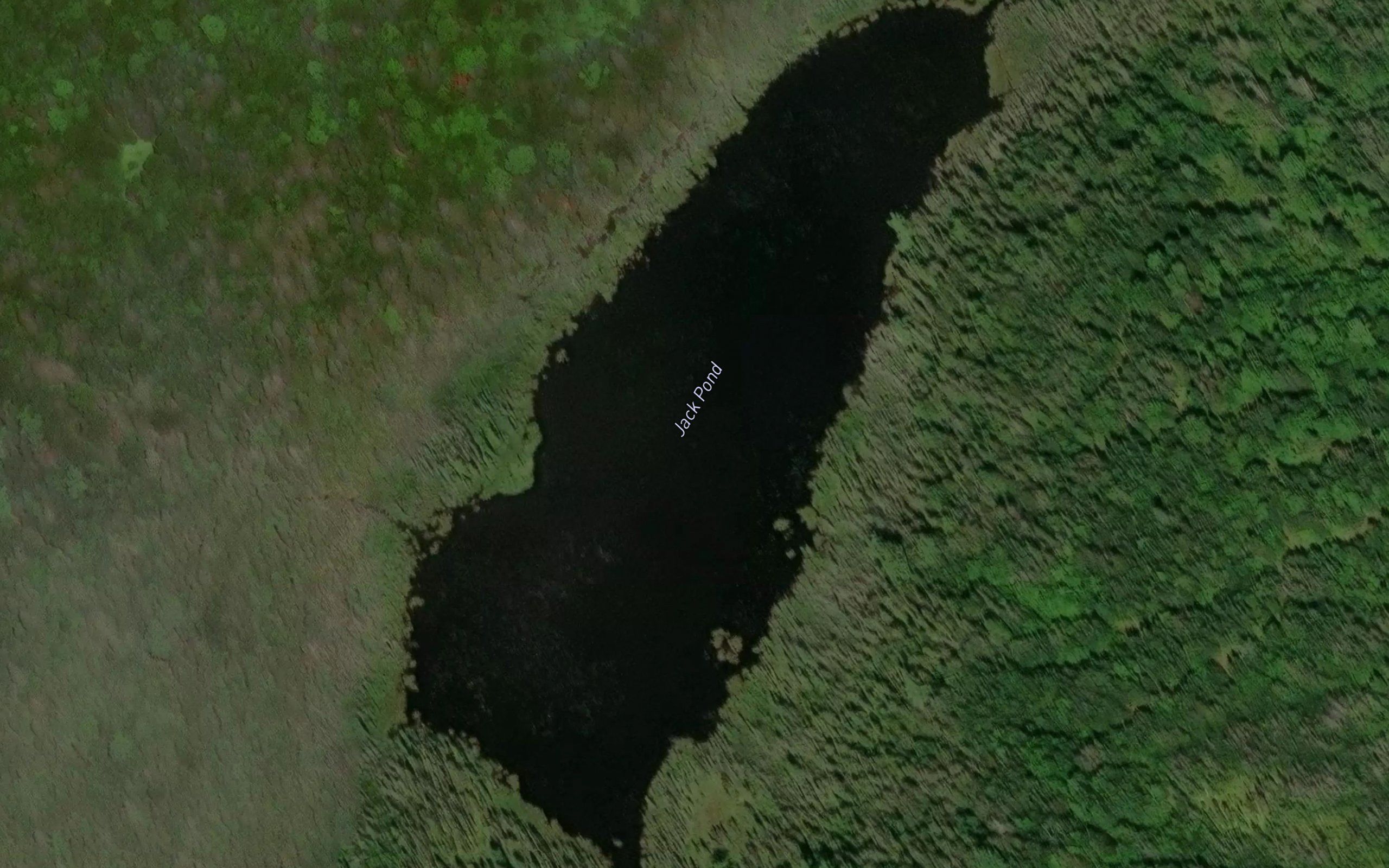 Jack Pond