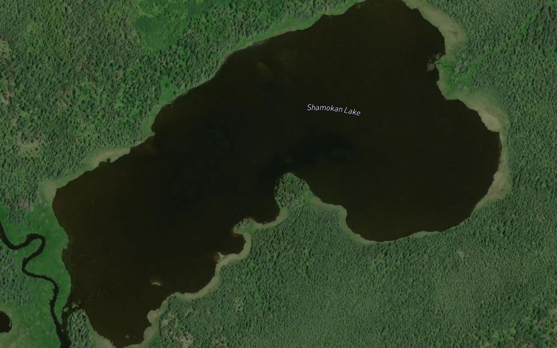 Satellite map of the Shamokan Lake