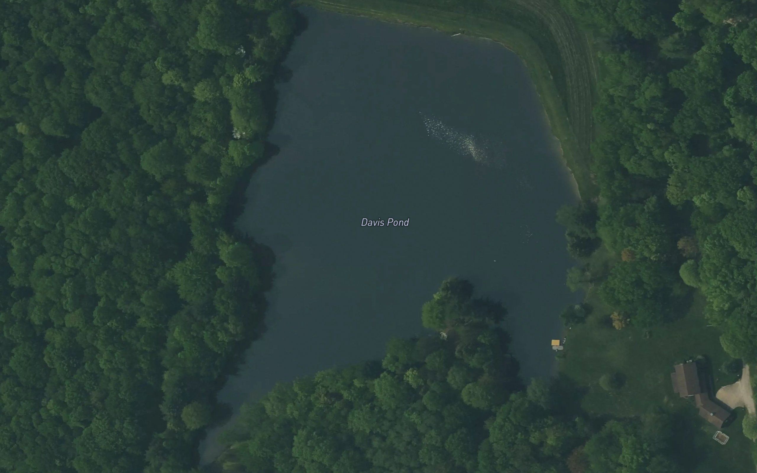 Davis Pond