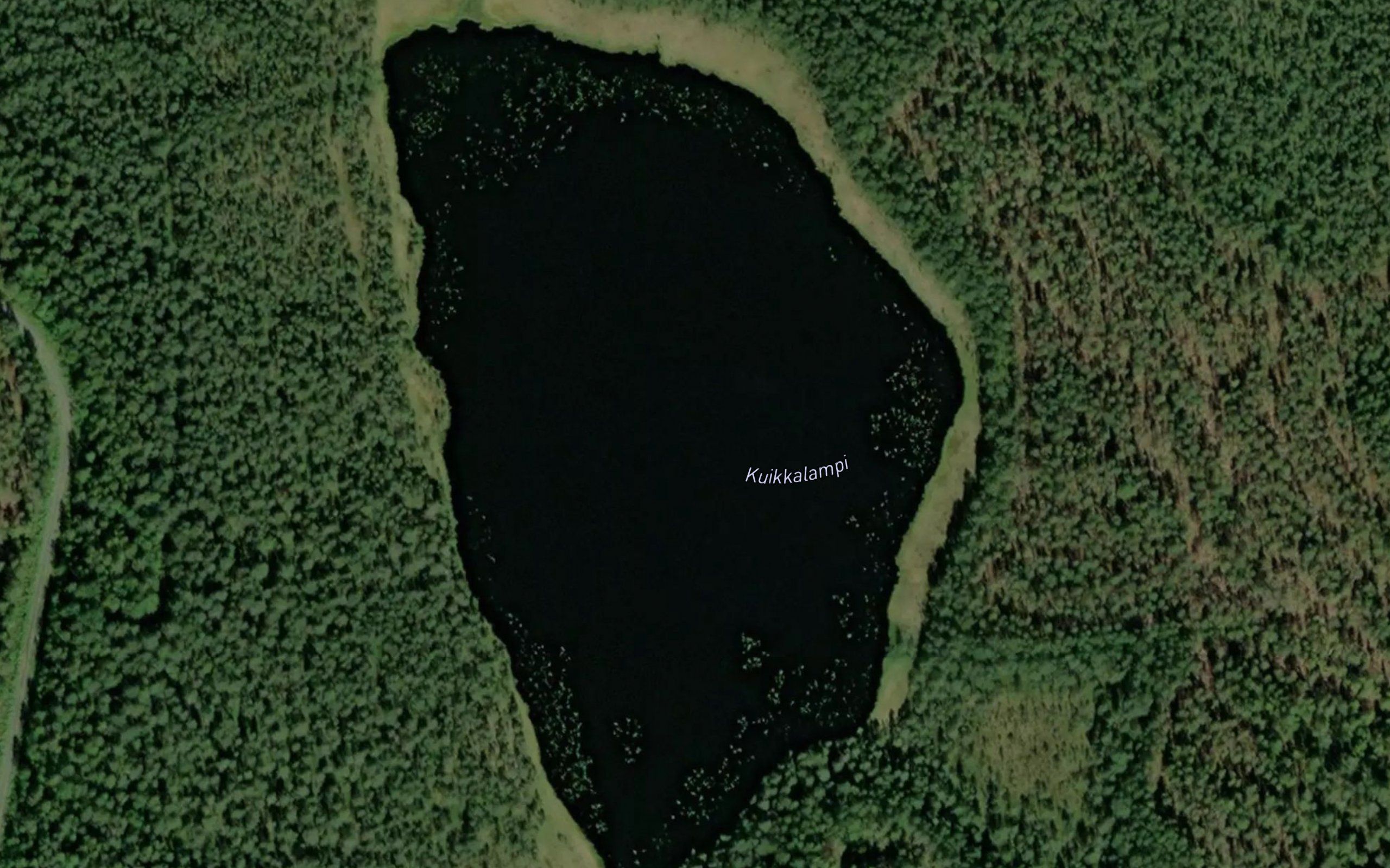 Kuikkalampi