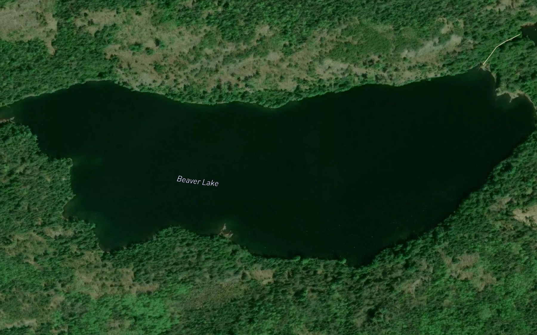 Satellite map of the Beaver Lake