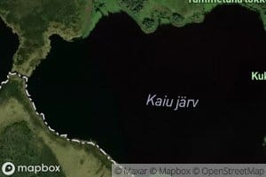 Kaiu Jarv