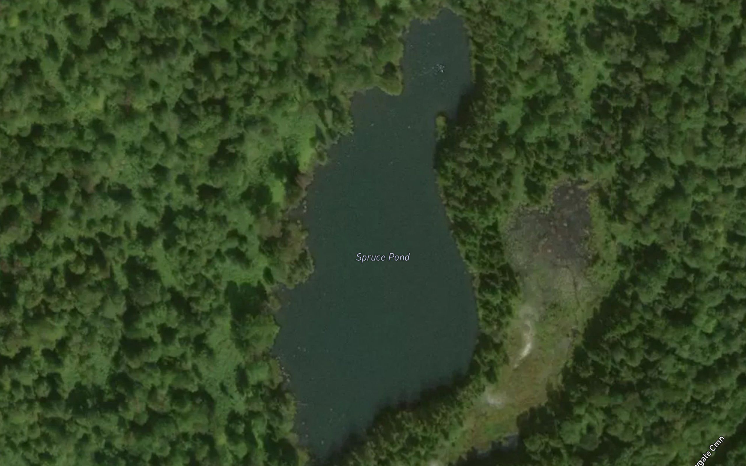 Spruce Pond