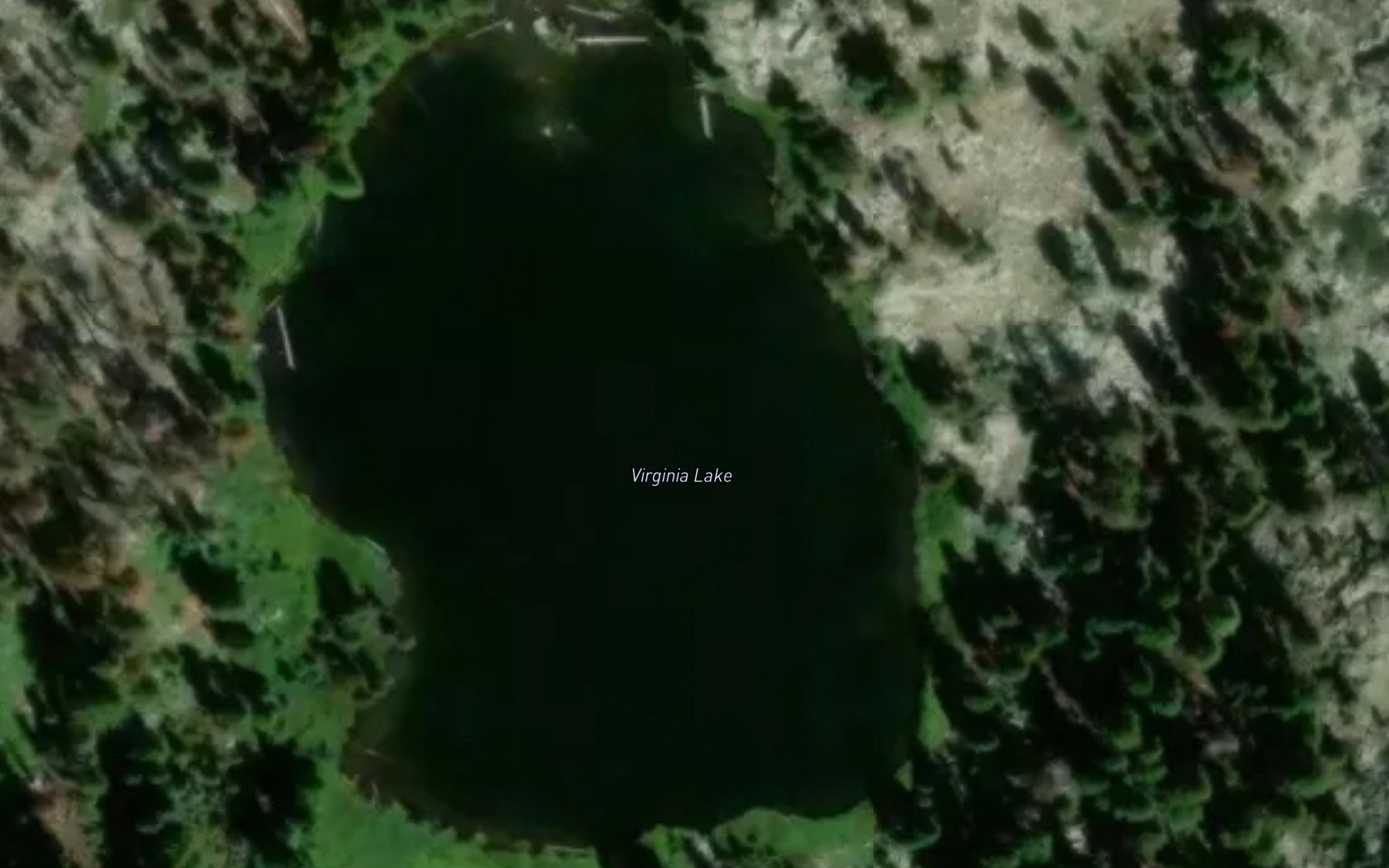 Satellite map of the Virginia Lake