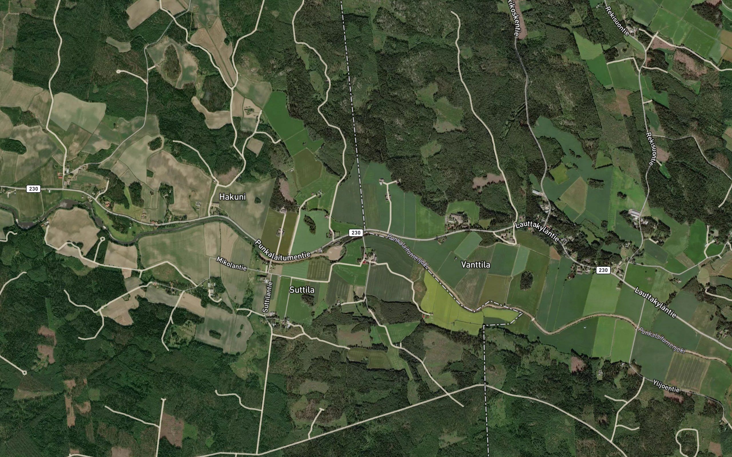 Vesaoja