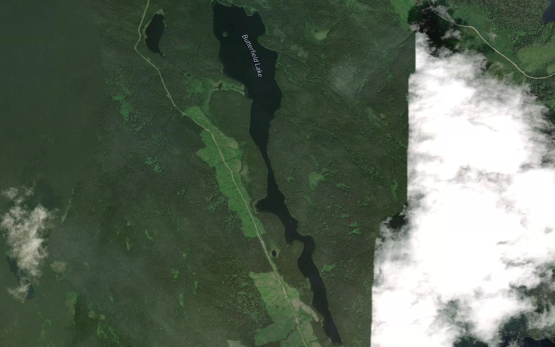 Satellite map of the Butterfield Lake