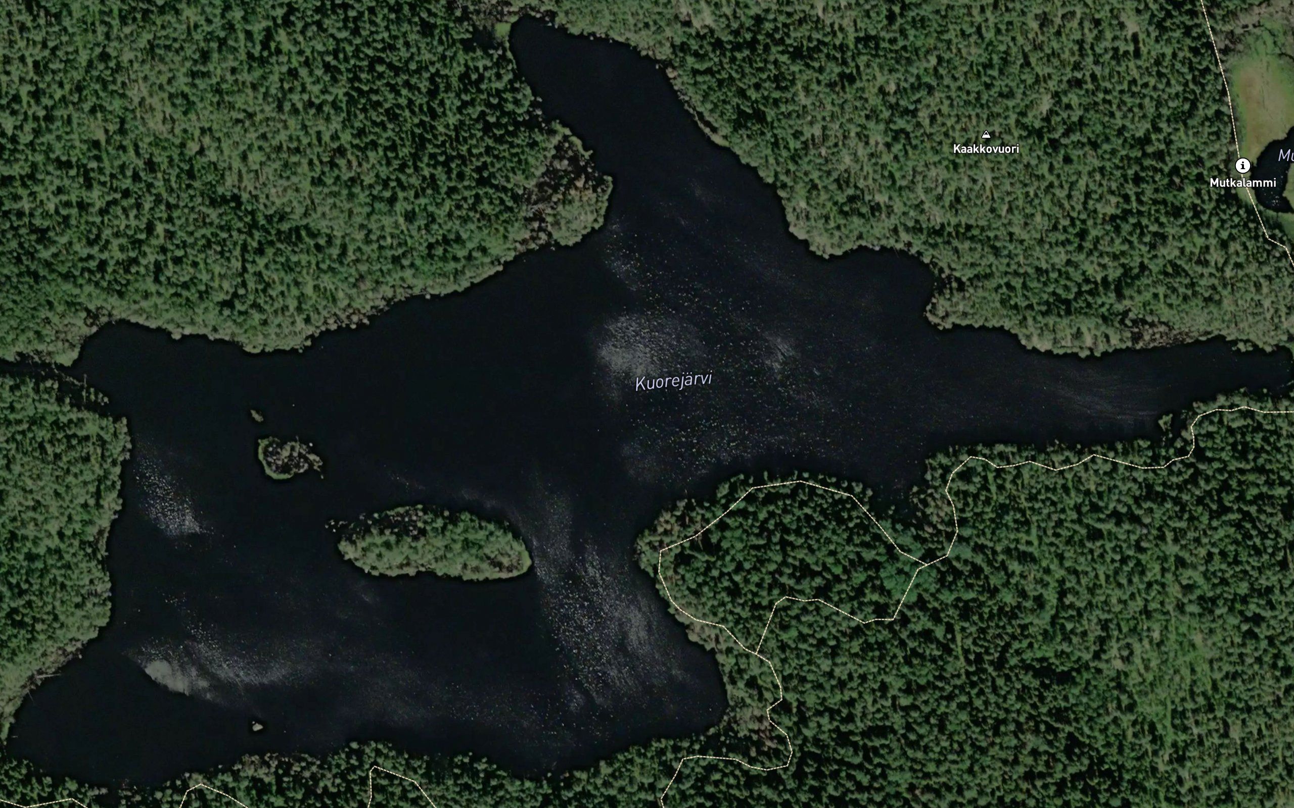 Kuorejarvi