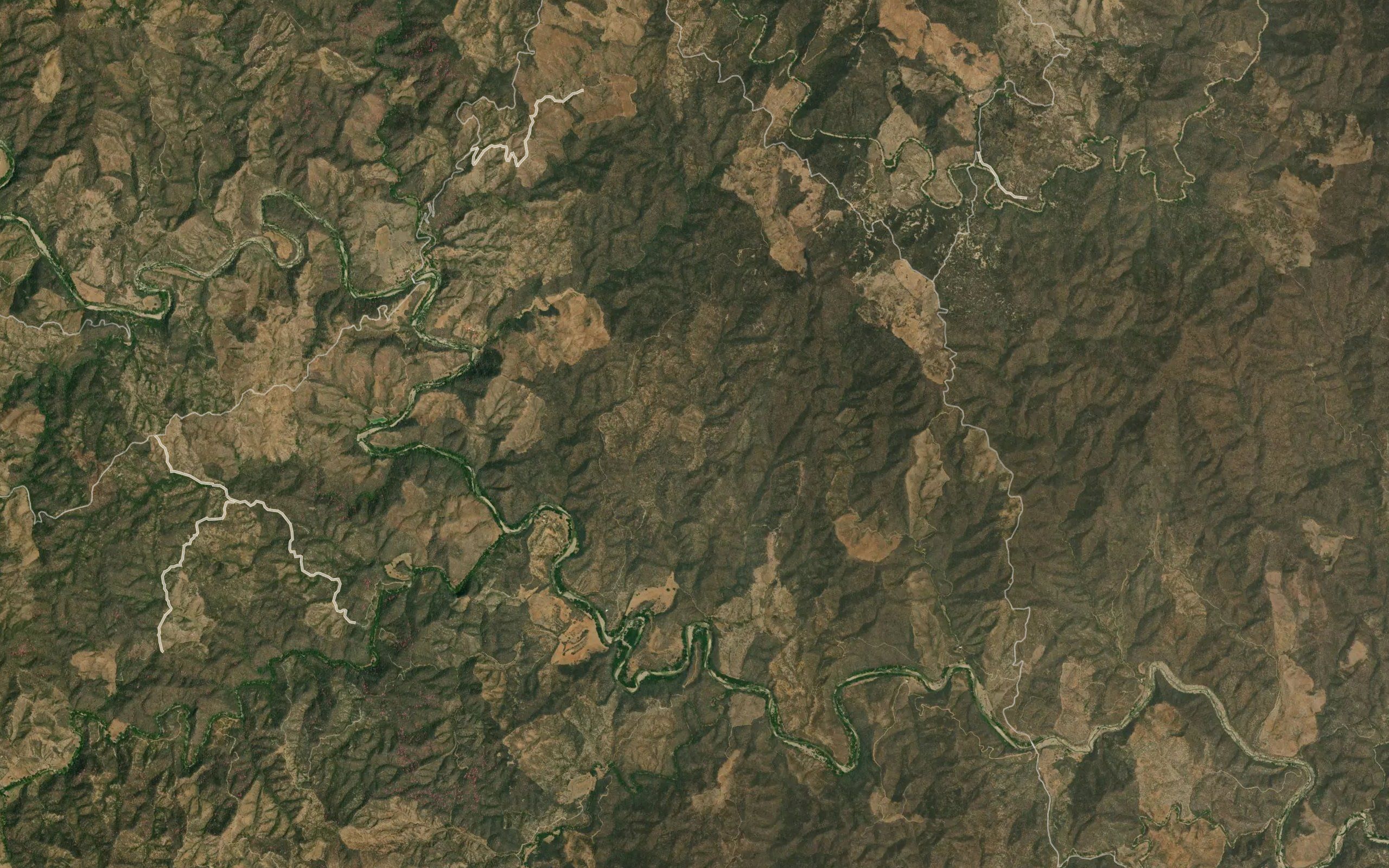 Barranca Las Higueritas