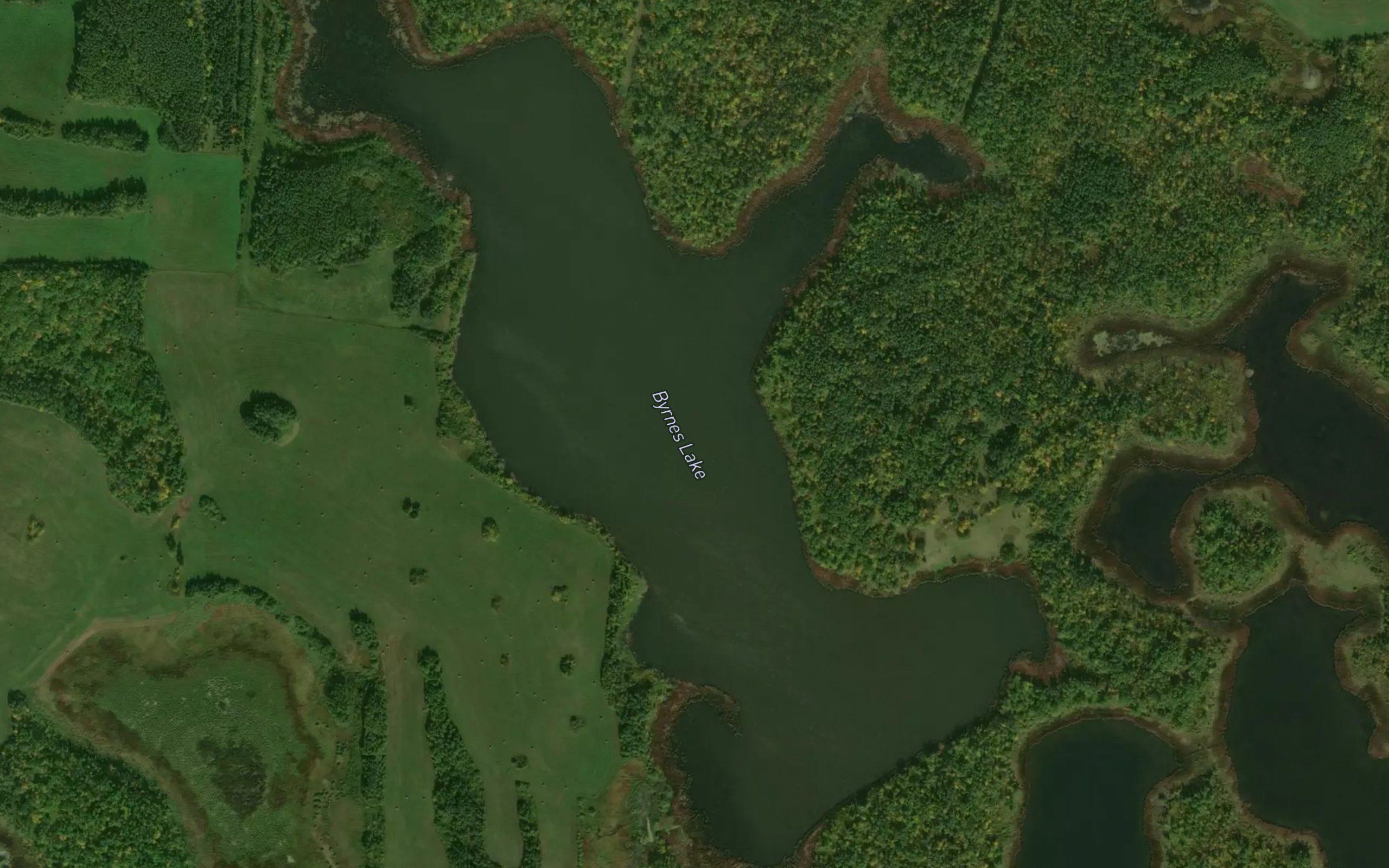 Byrnes Lake