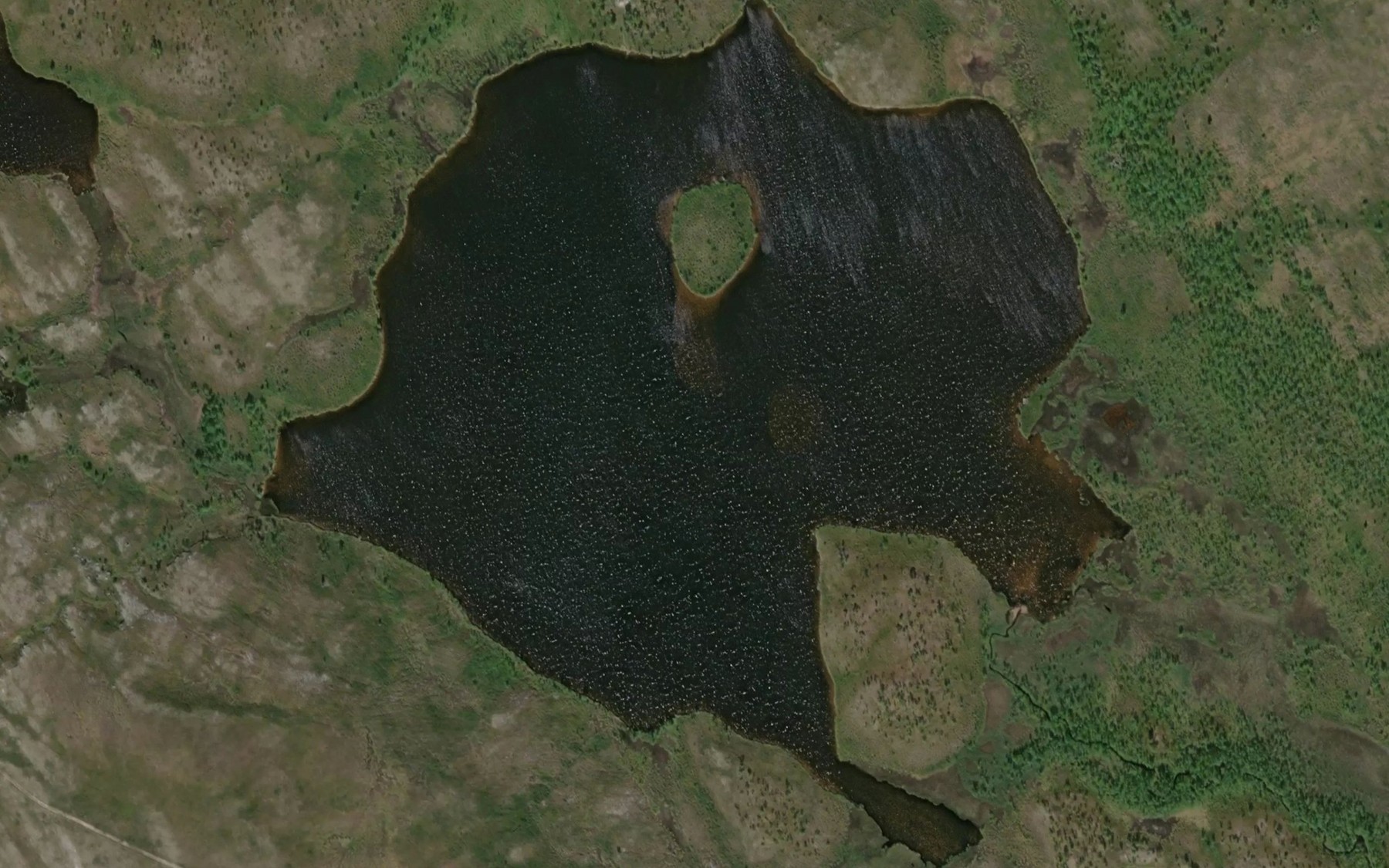 Satellite map of the Gamasvatnet