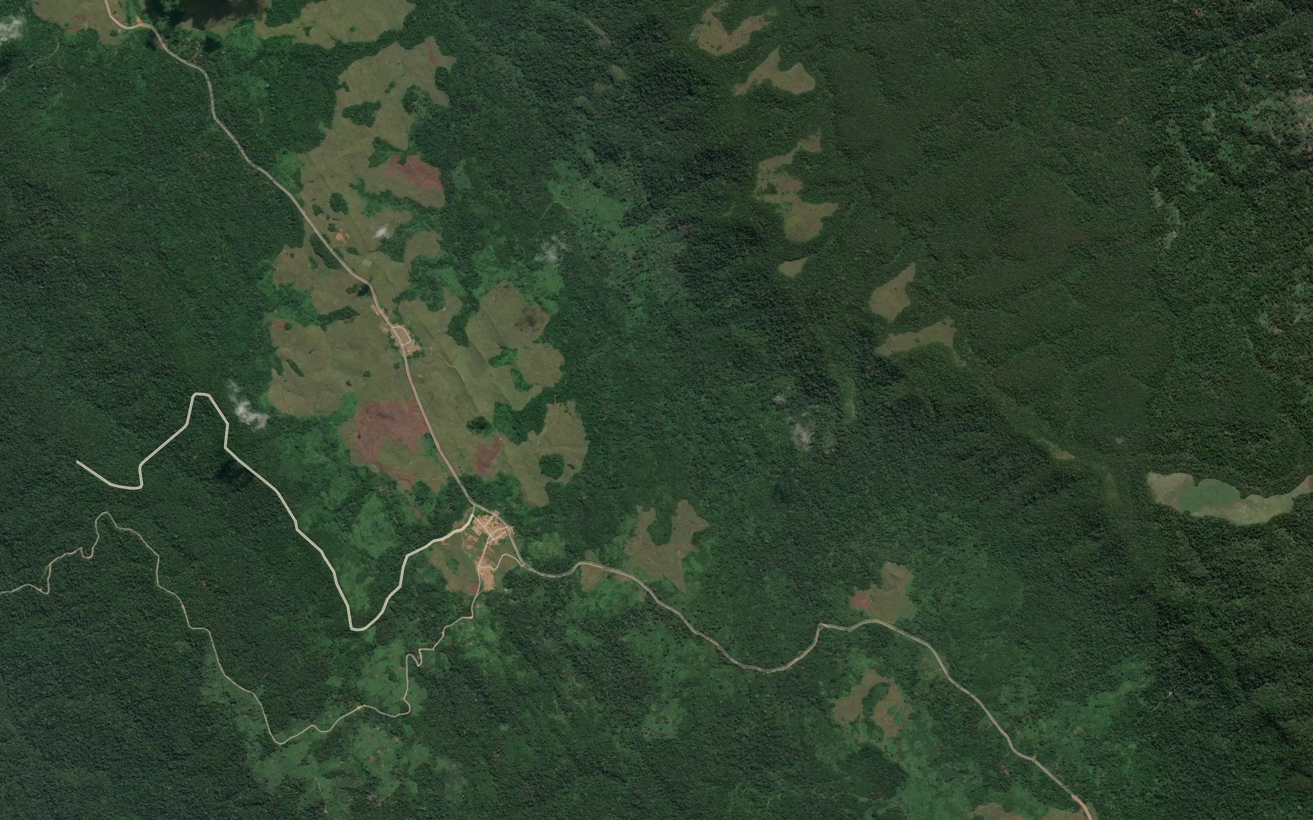 Pumua