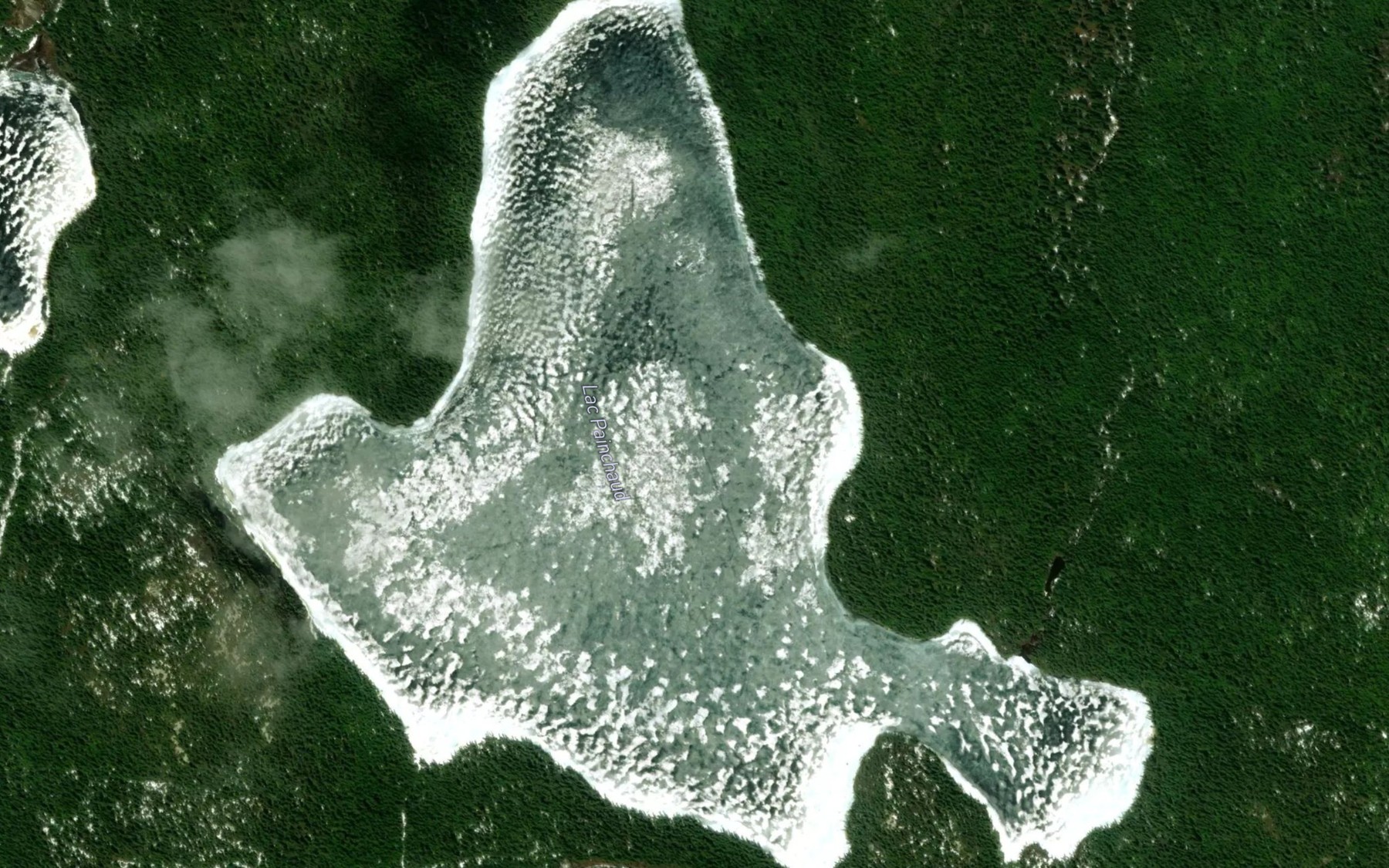 Satellite map of the Lac Painchaud