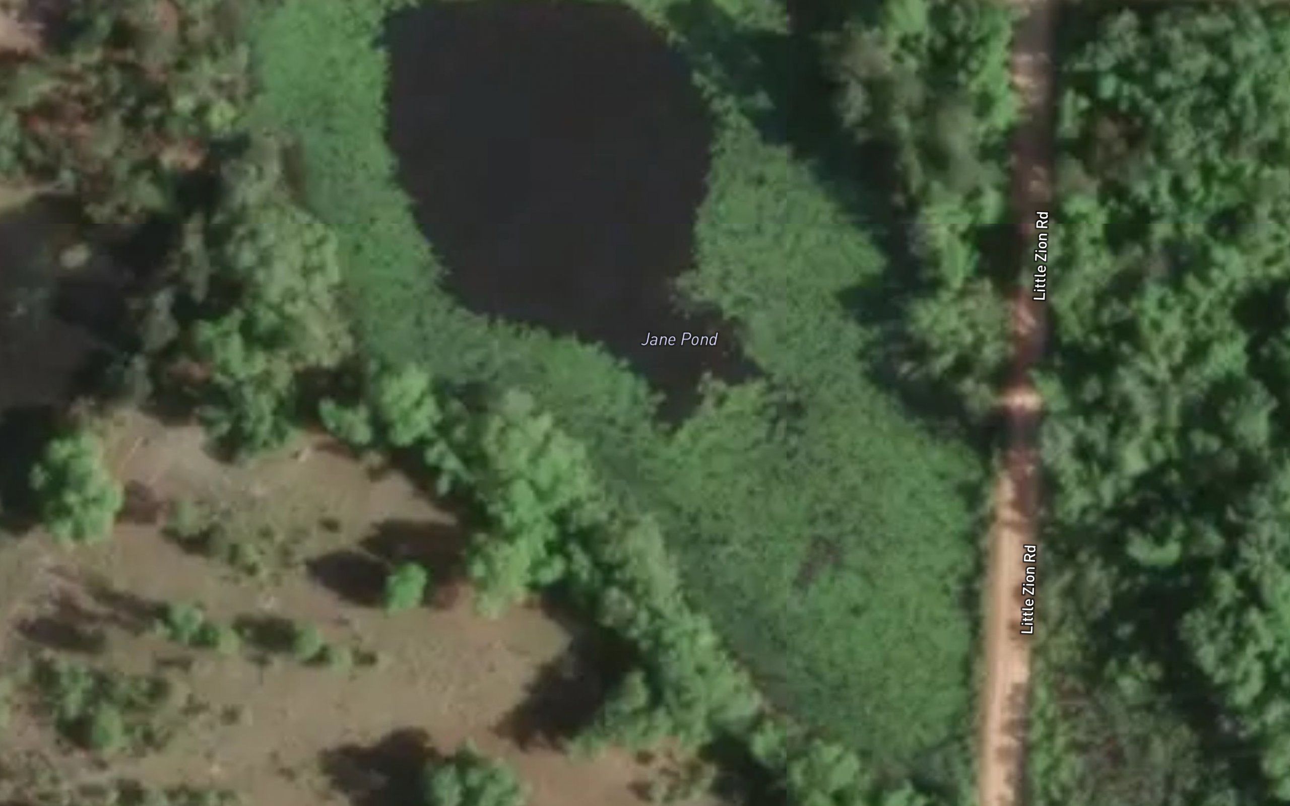 Jane Pond