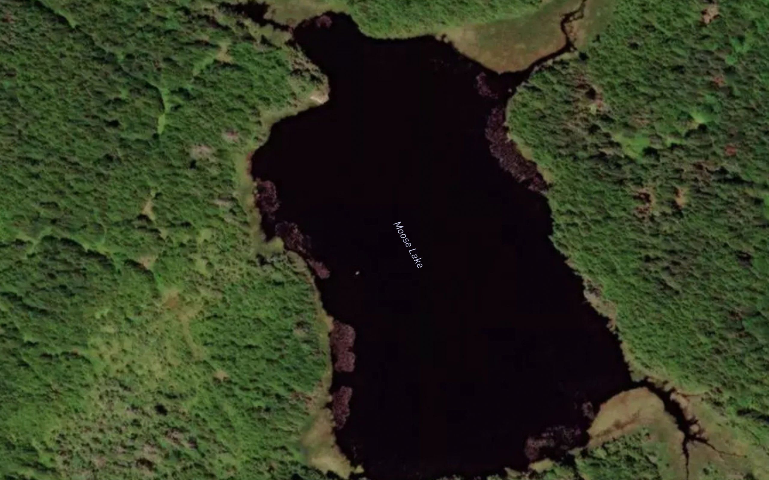 Moose Lake