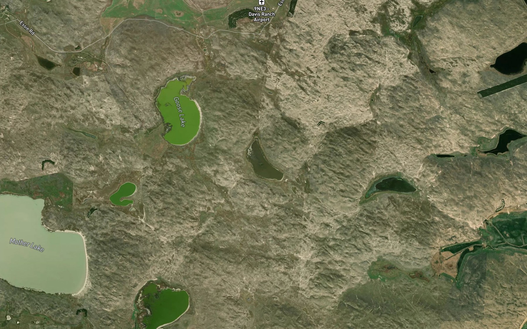Satellite map of the Coffee Lake