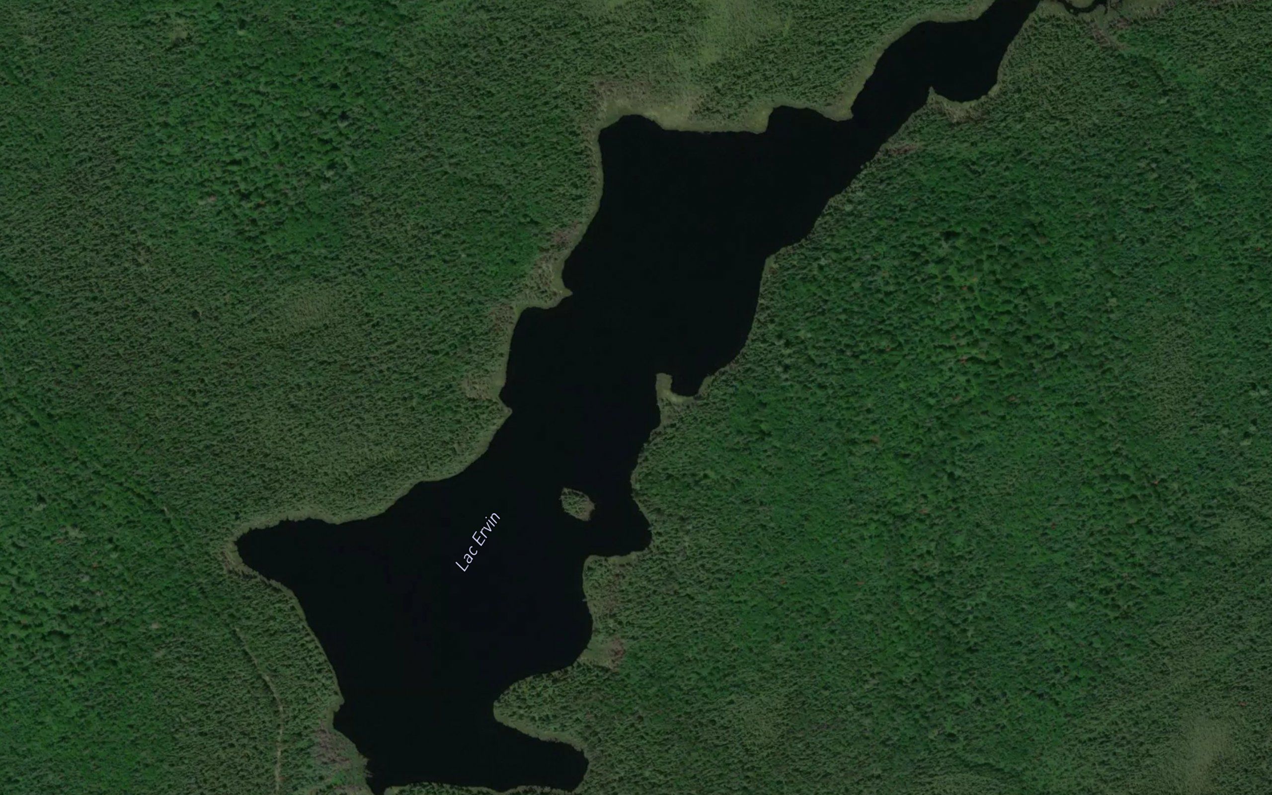 Lac Ervin