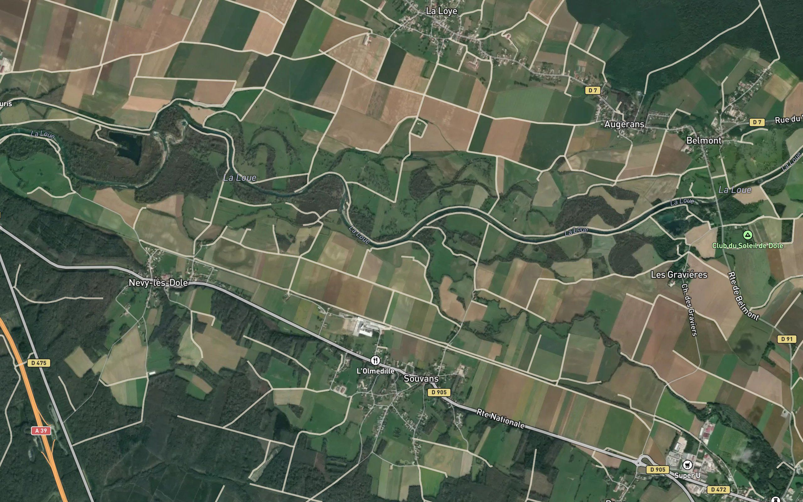 Cuisance