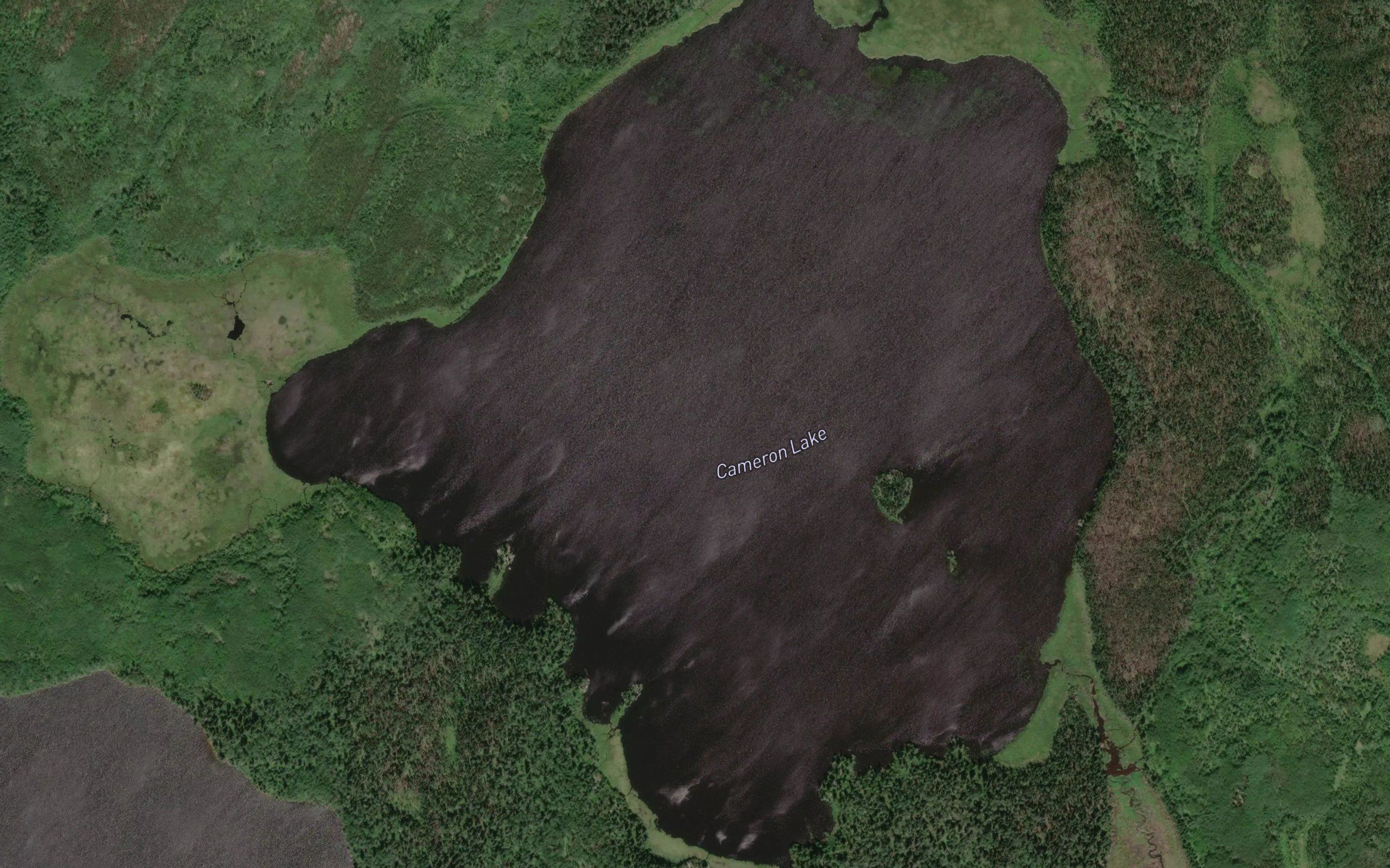 Cameron Lake
