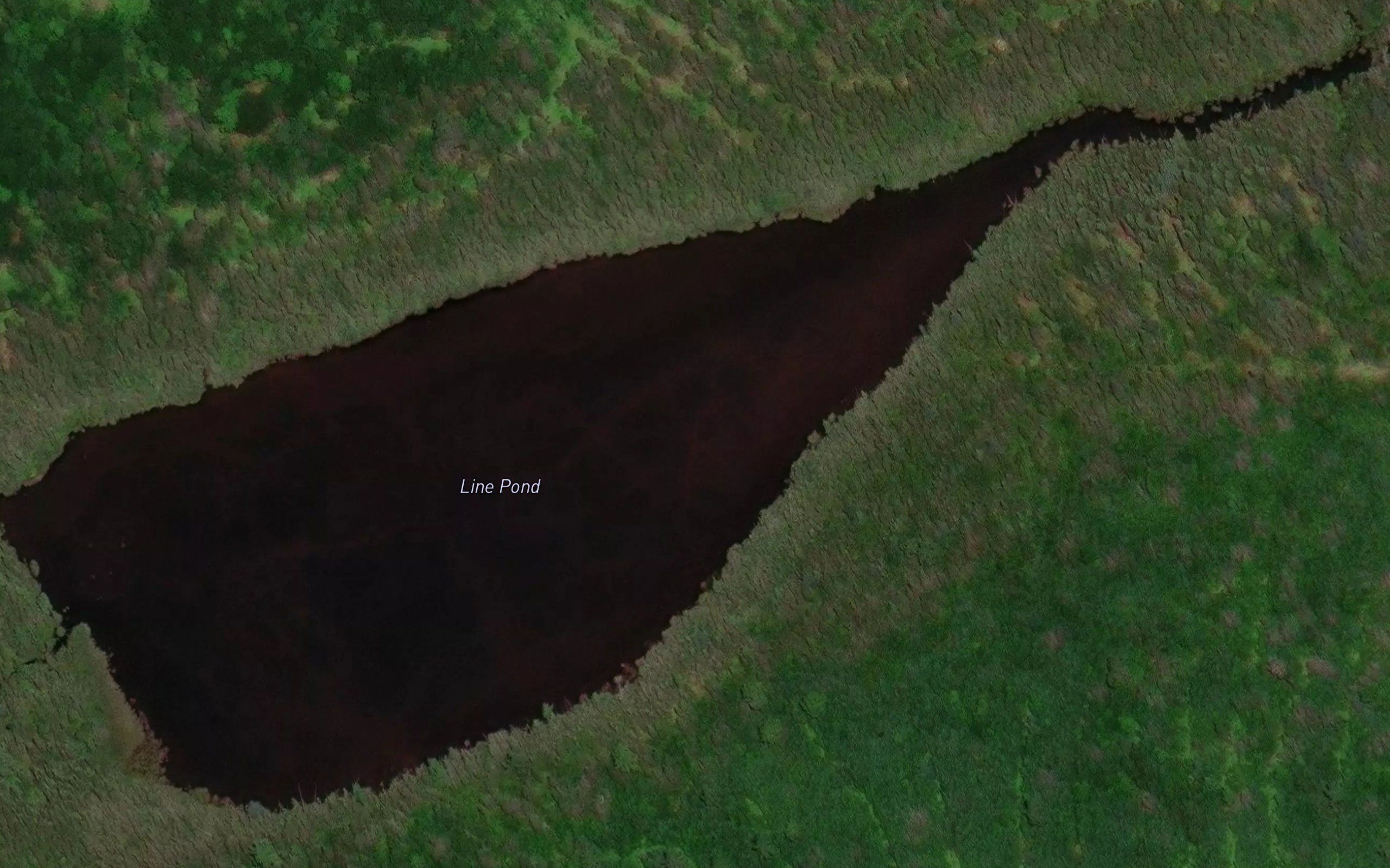 Line Pond