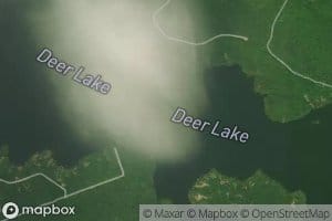Deer Lake