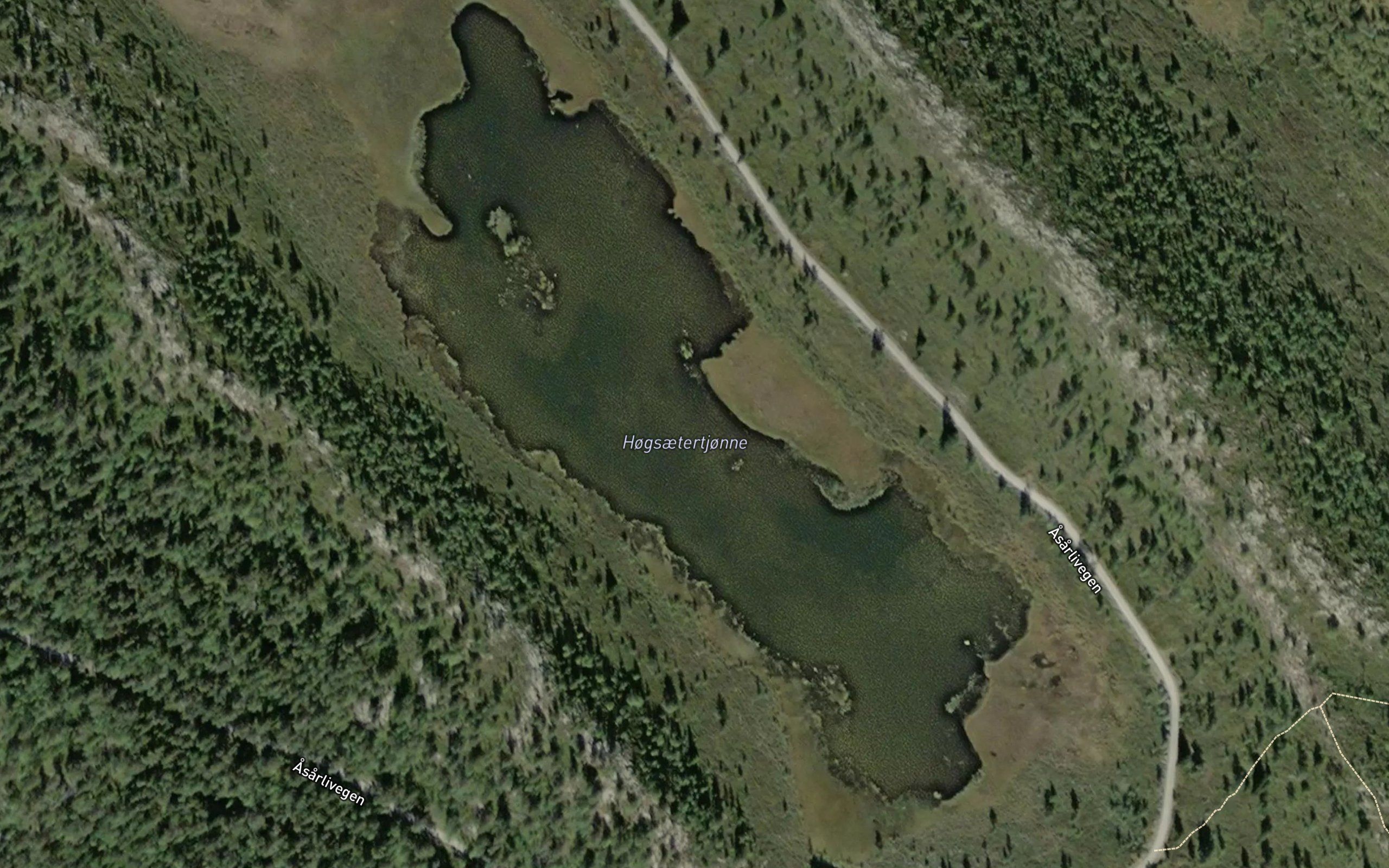 Hogsaetertjorni