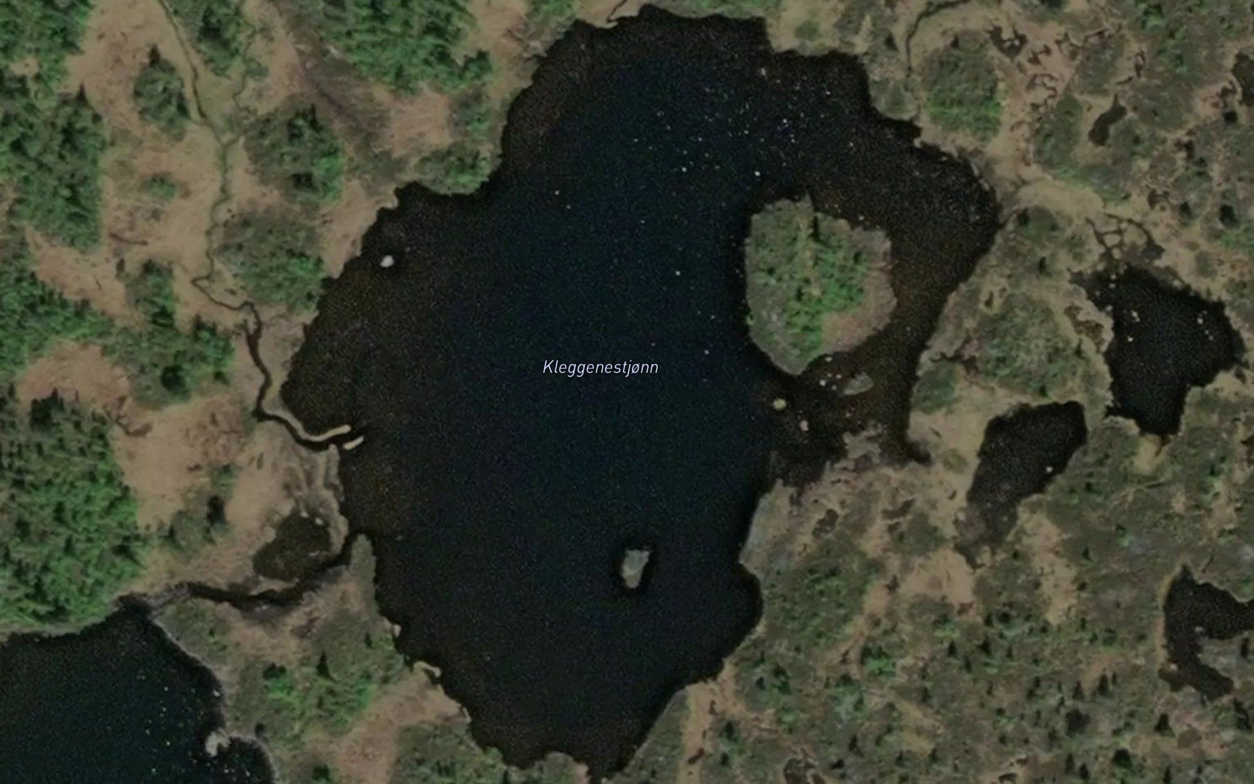 Kleggenestjonn