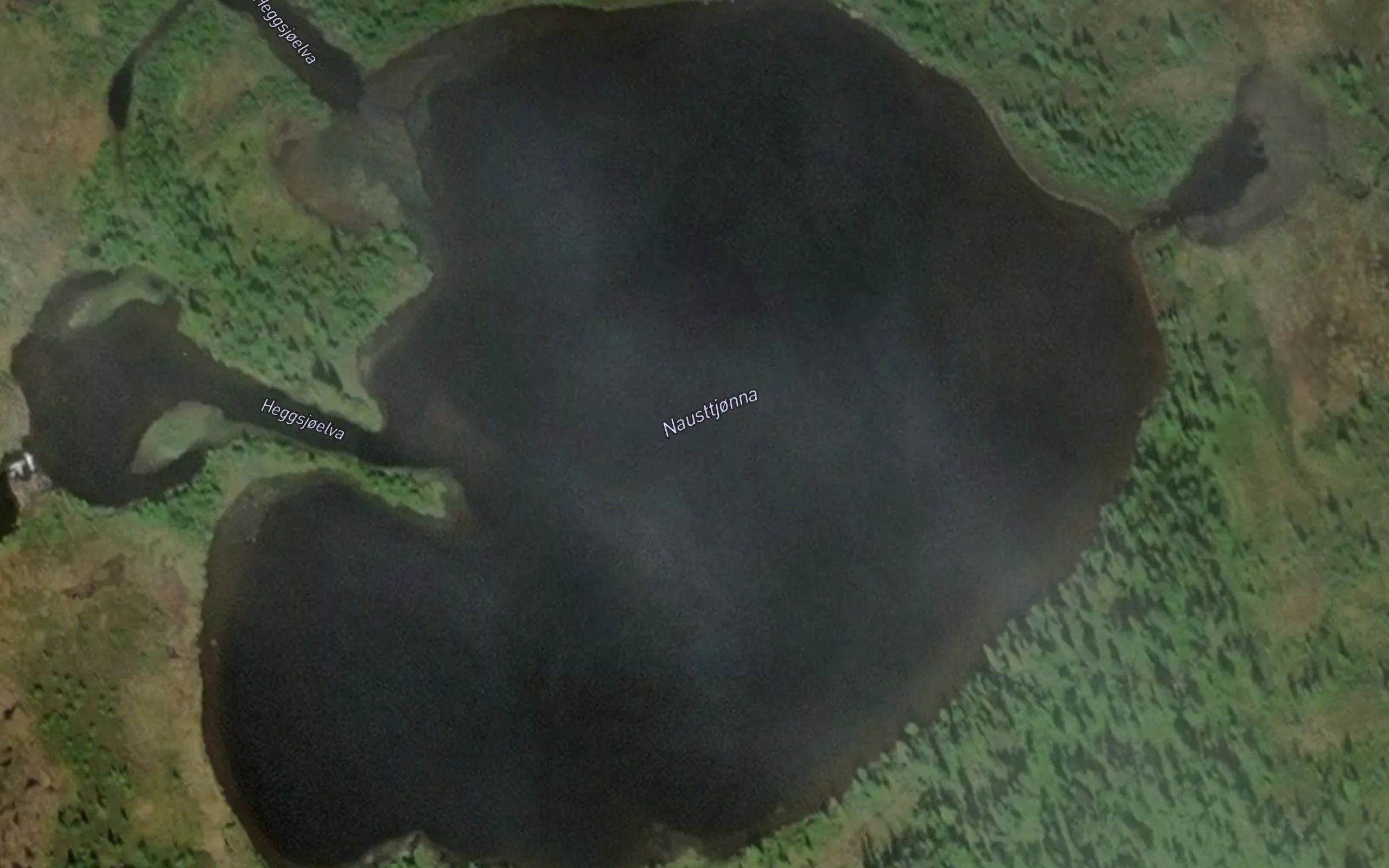 Nausttjorna