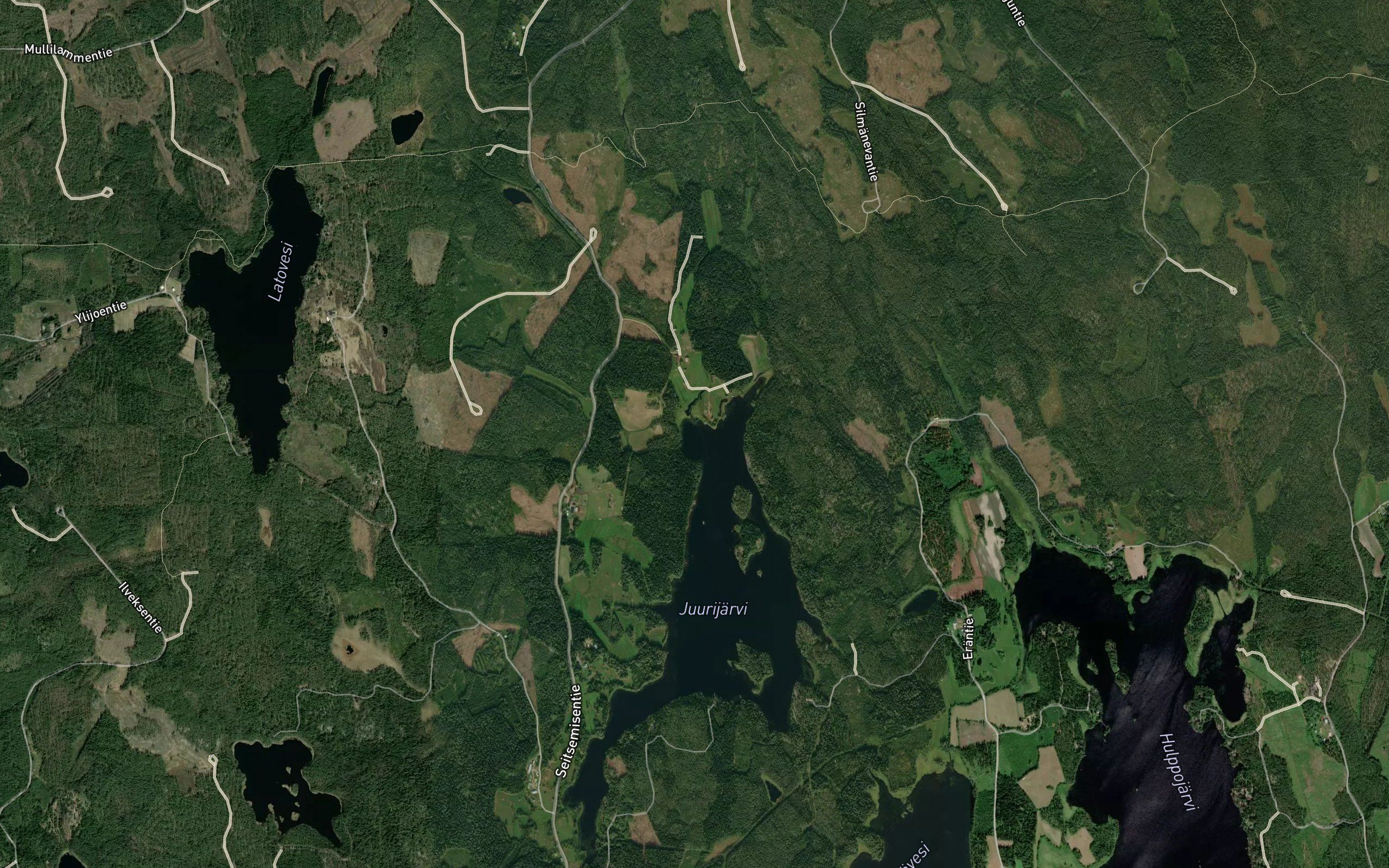 Lehmisuonlahti