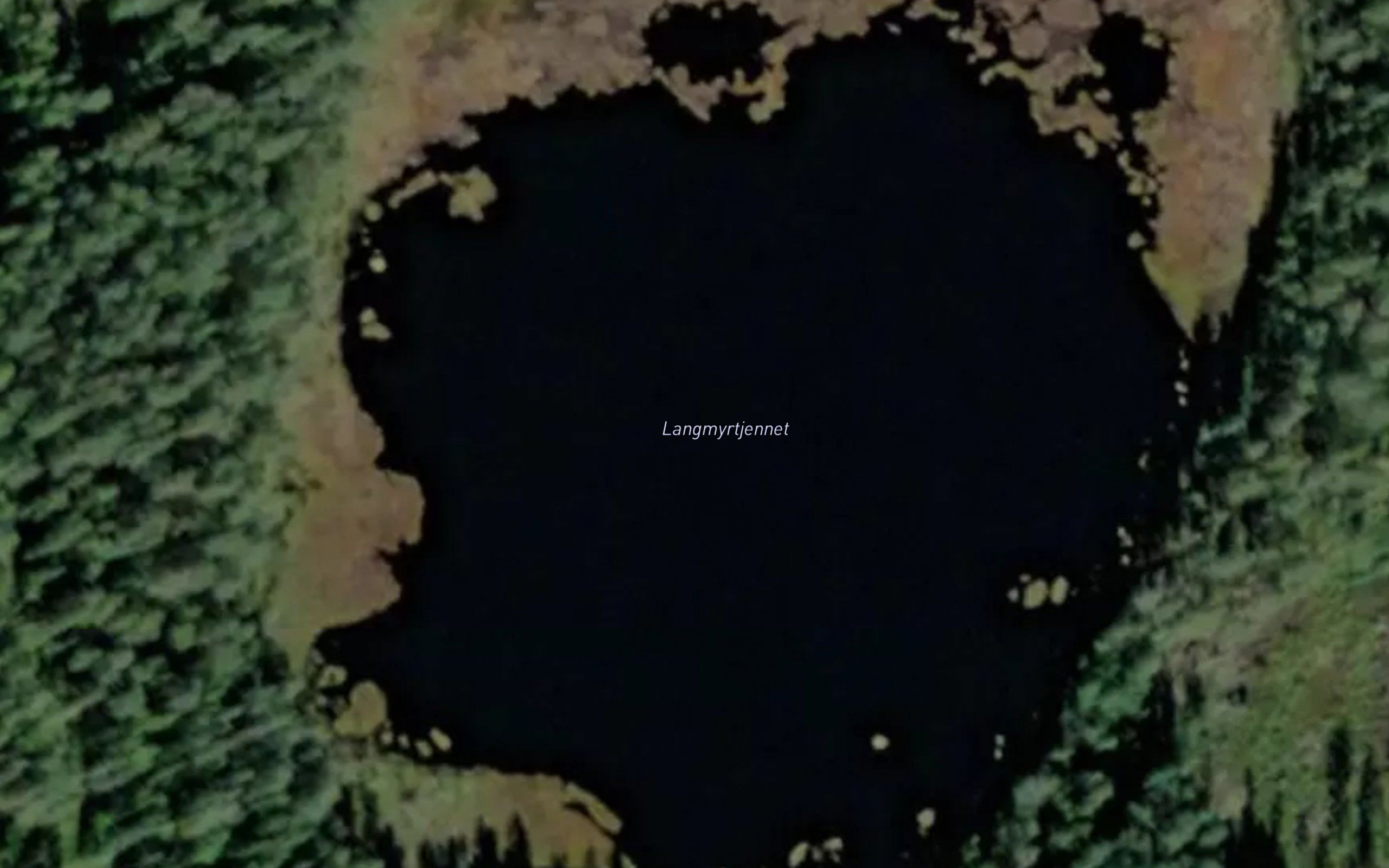 Langmyrtjernet