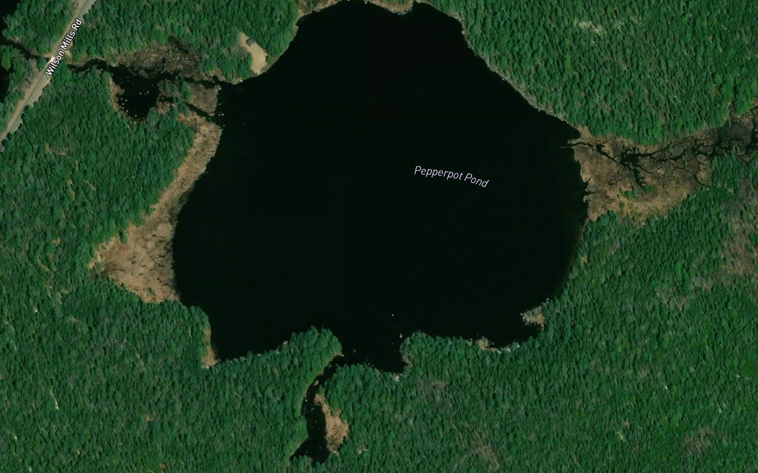 Pepperpot Pond