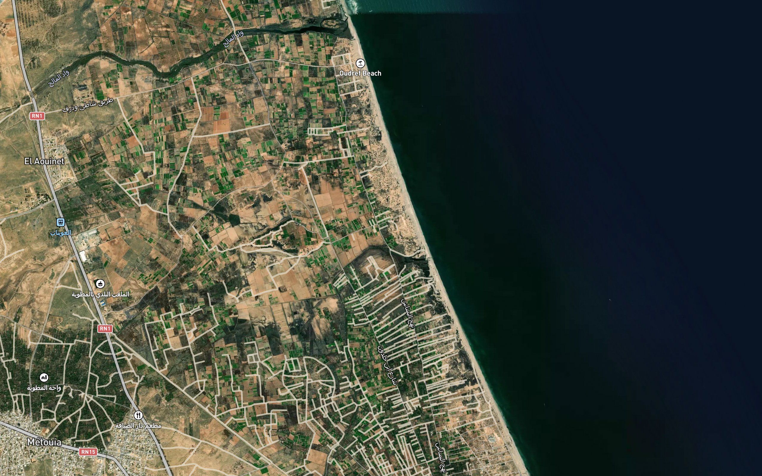 Aine el Amara