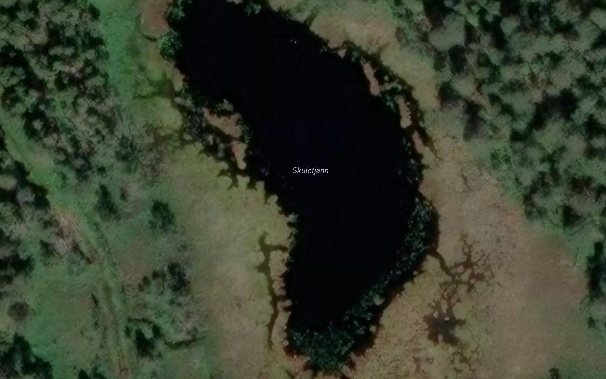 Skuletjonn