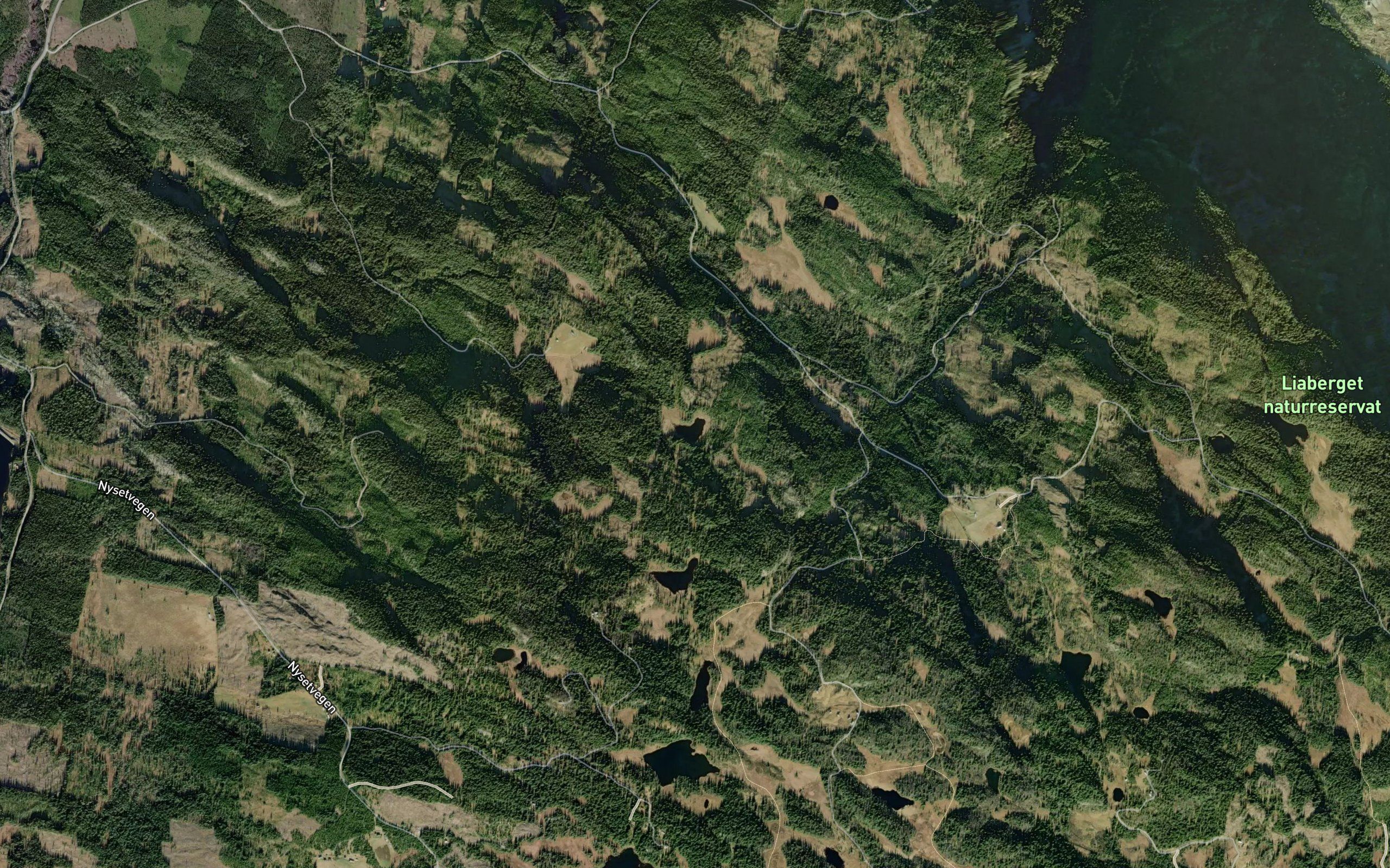 Dallootjedne