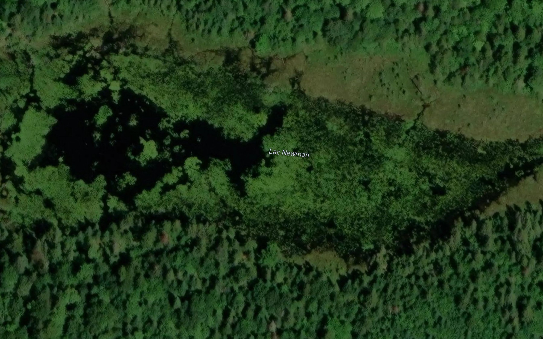 Satellite map of the Lac Newman