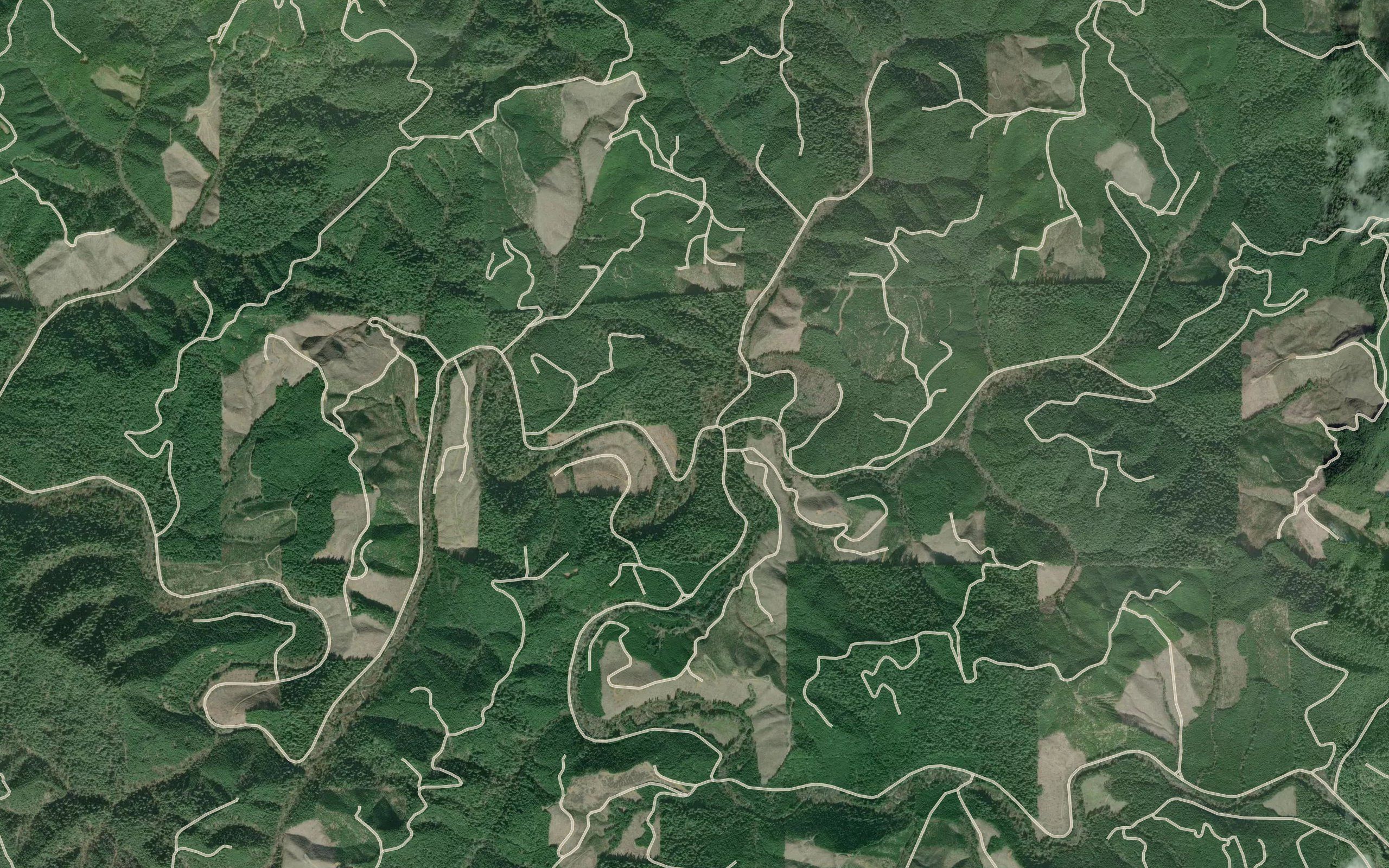 Gall Creek
