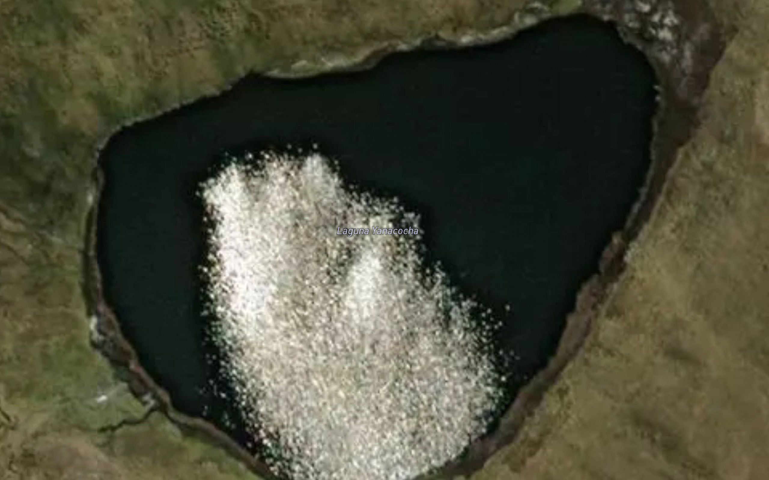 Laguna Yanacocha