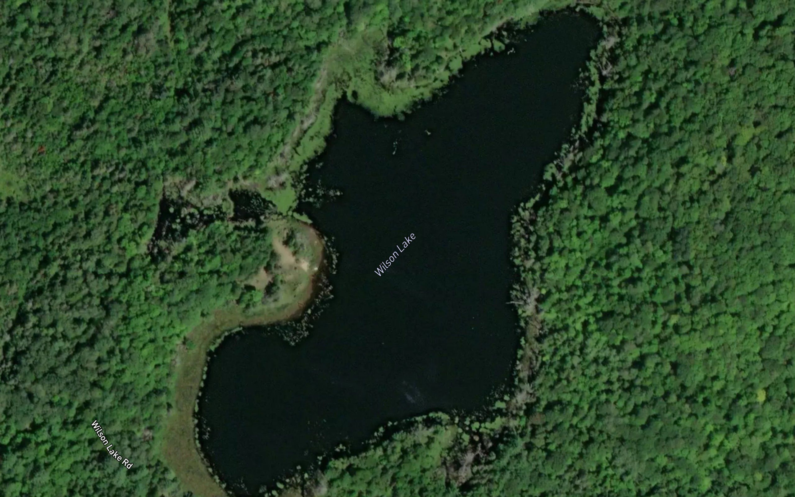 Wilson Lake