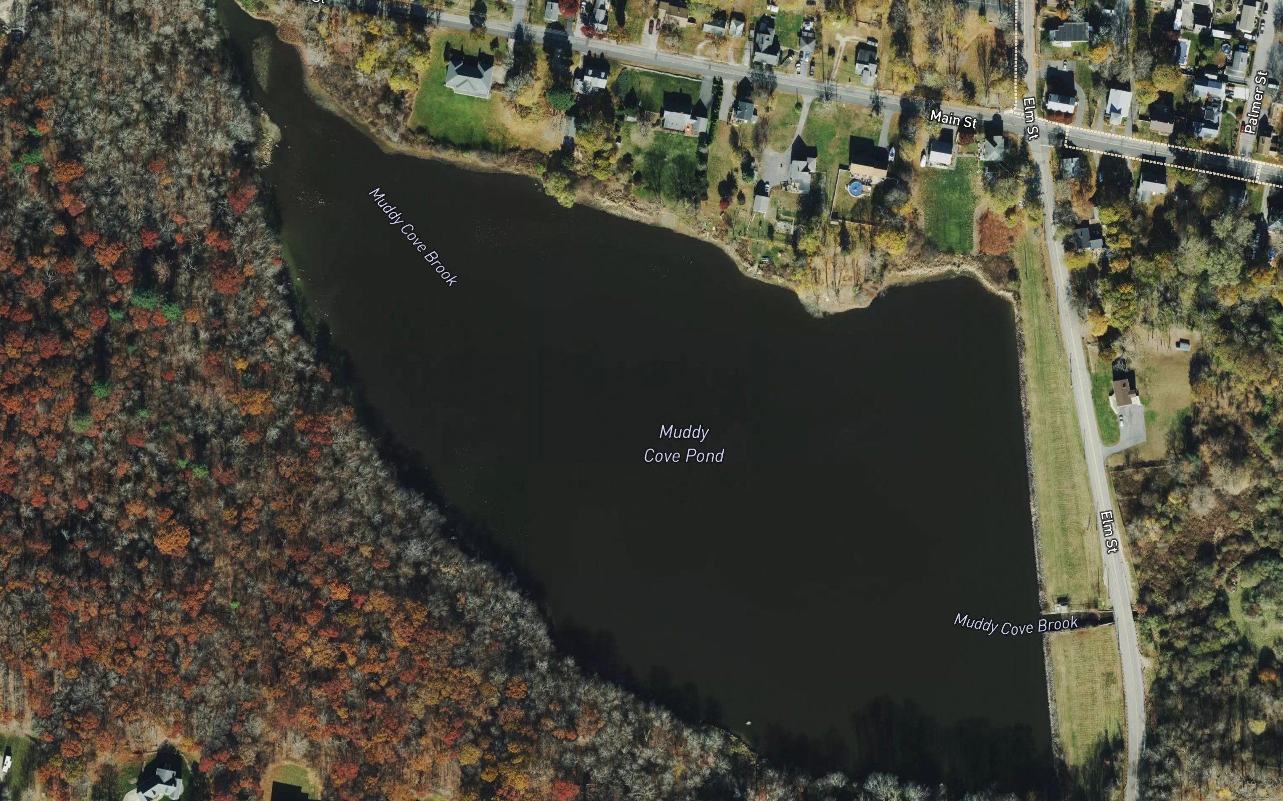Muddy Cove Pond