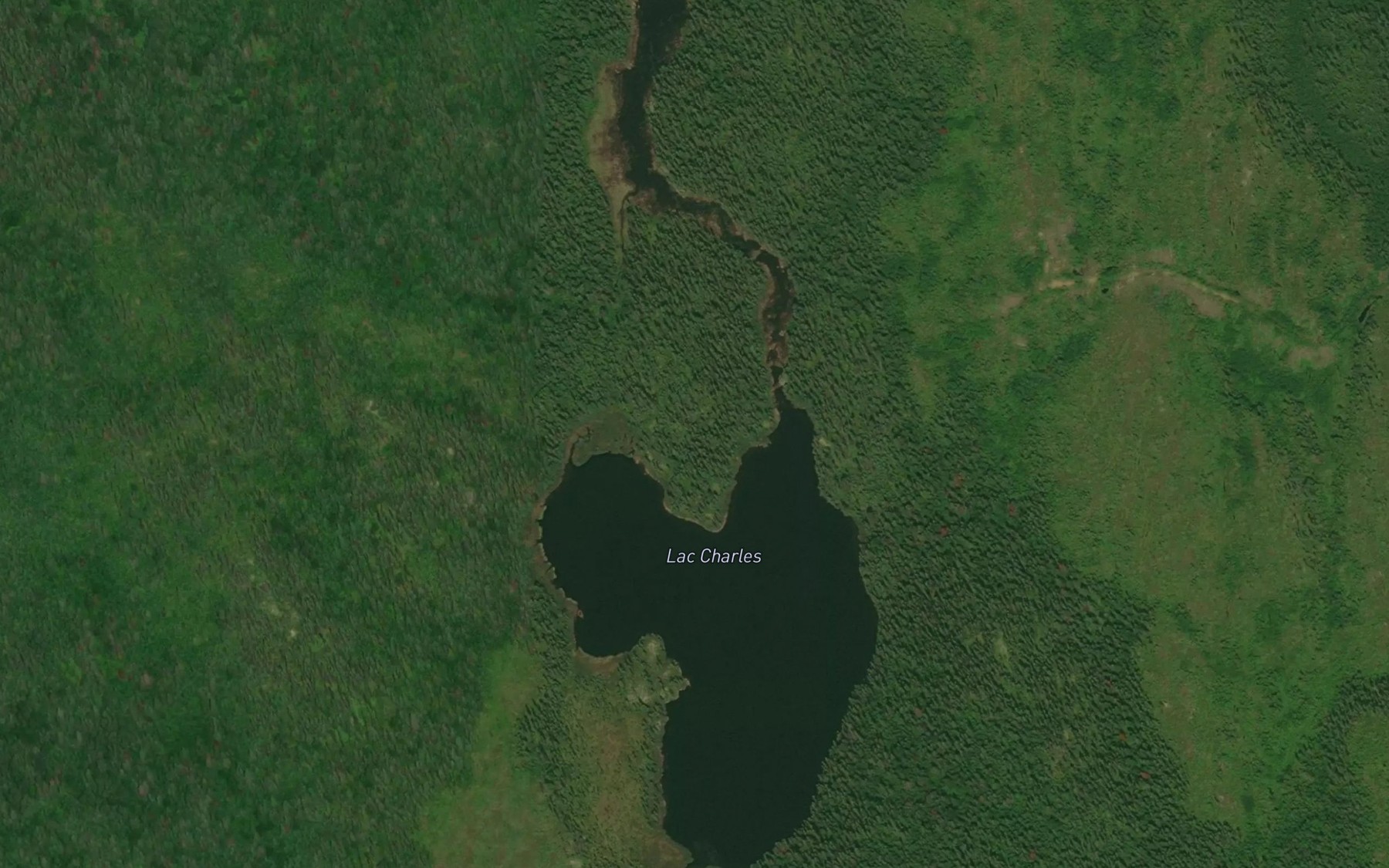 Satellite map of the Lac Charles