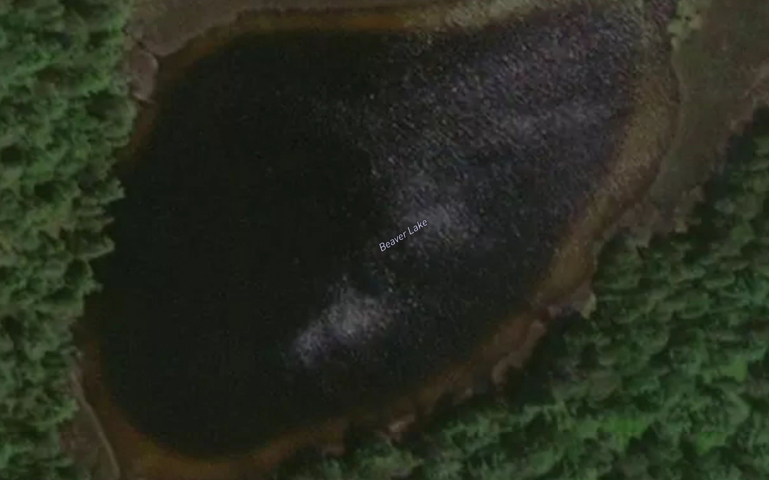 Beaver Lake