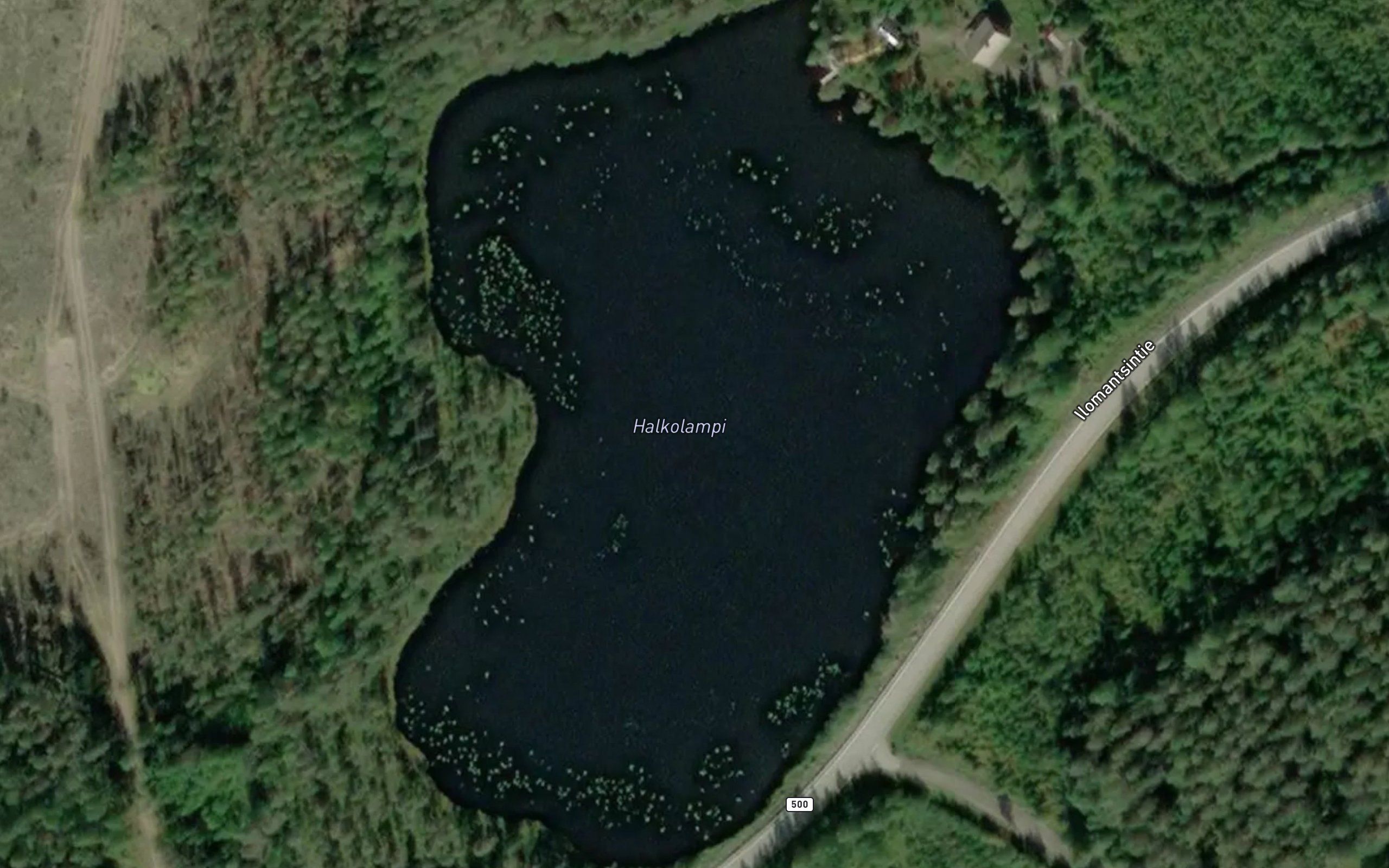 Halkolampi