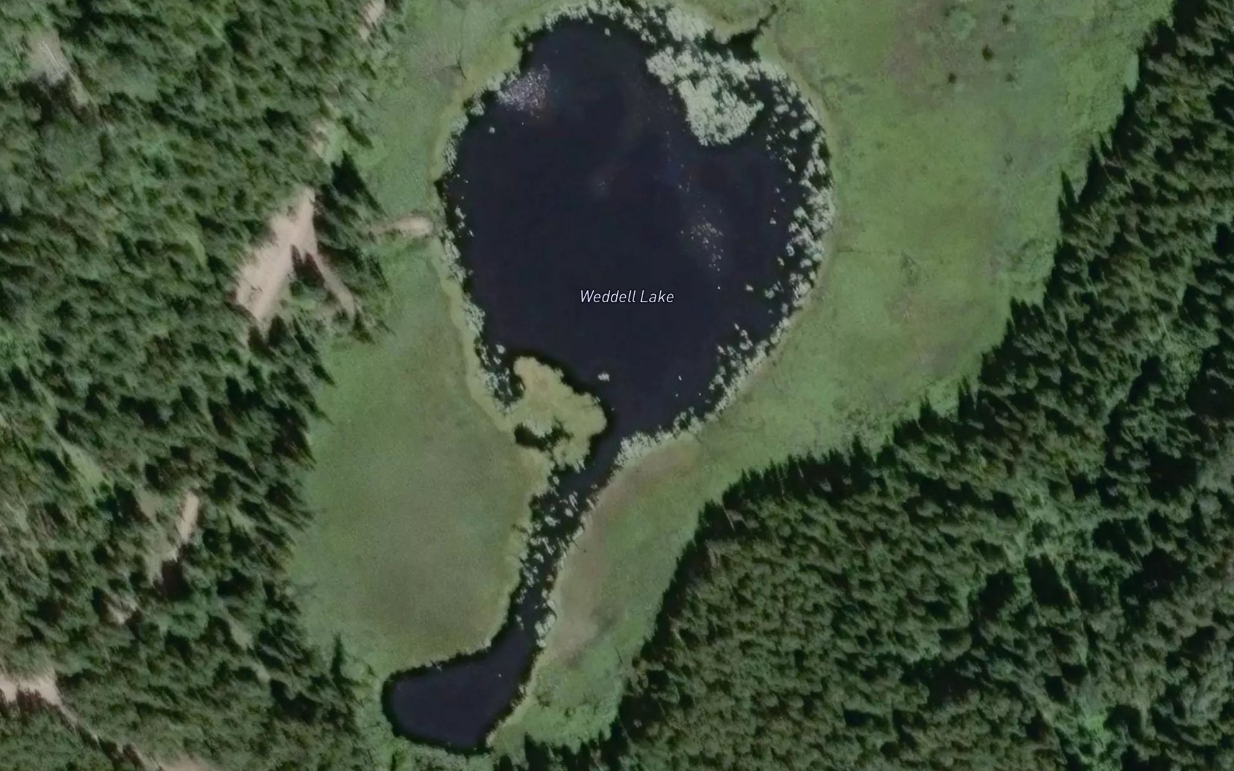 Satellite map of the Weddell Lake