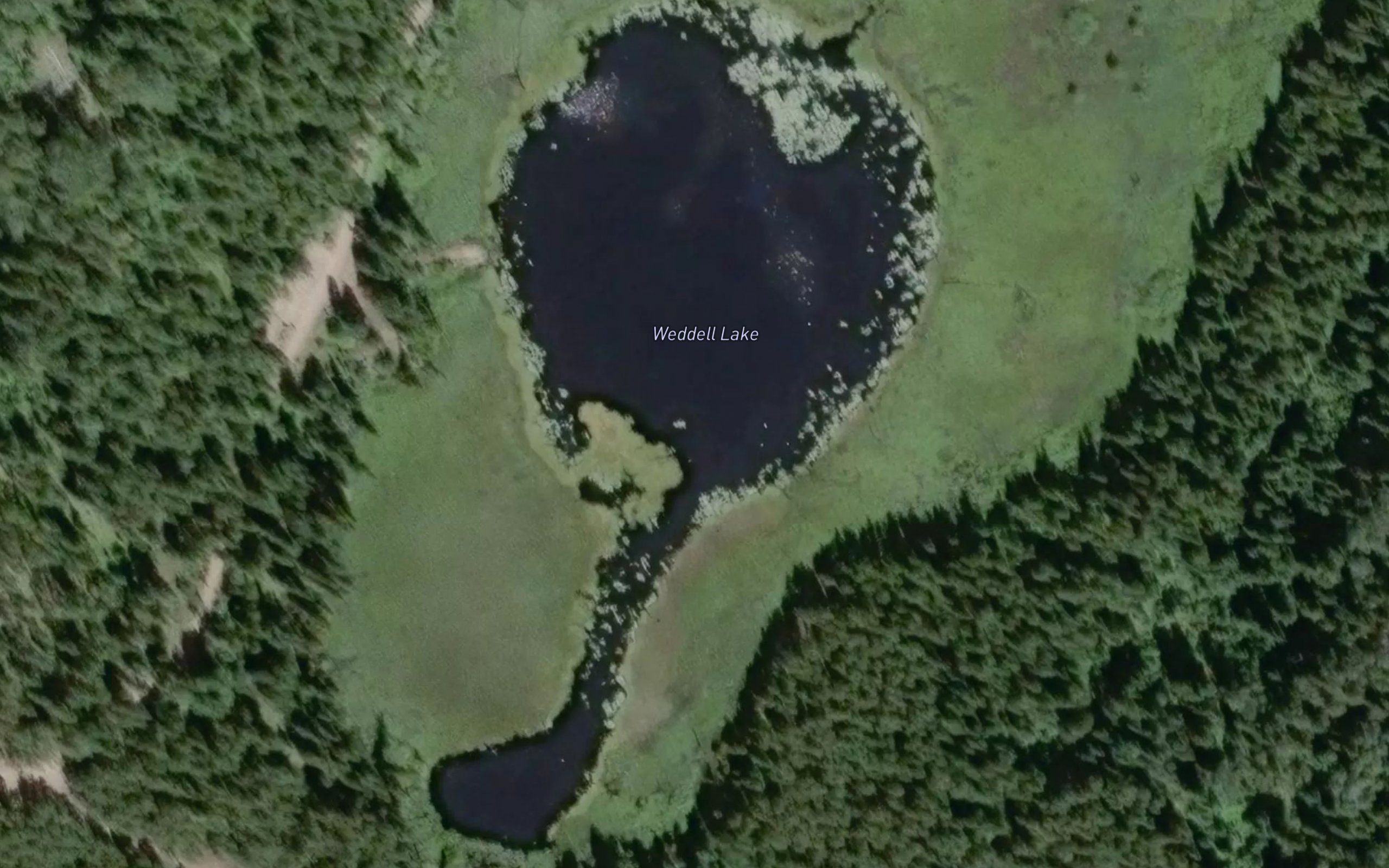 Weddell Lake