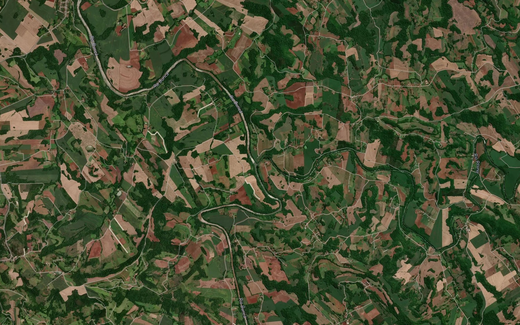 Satellite map of the Rio Reuno